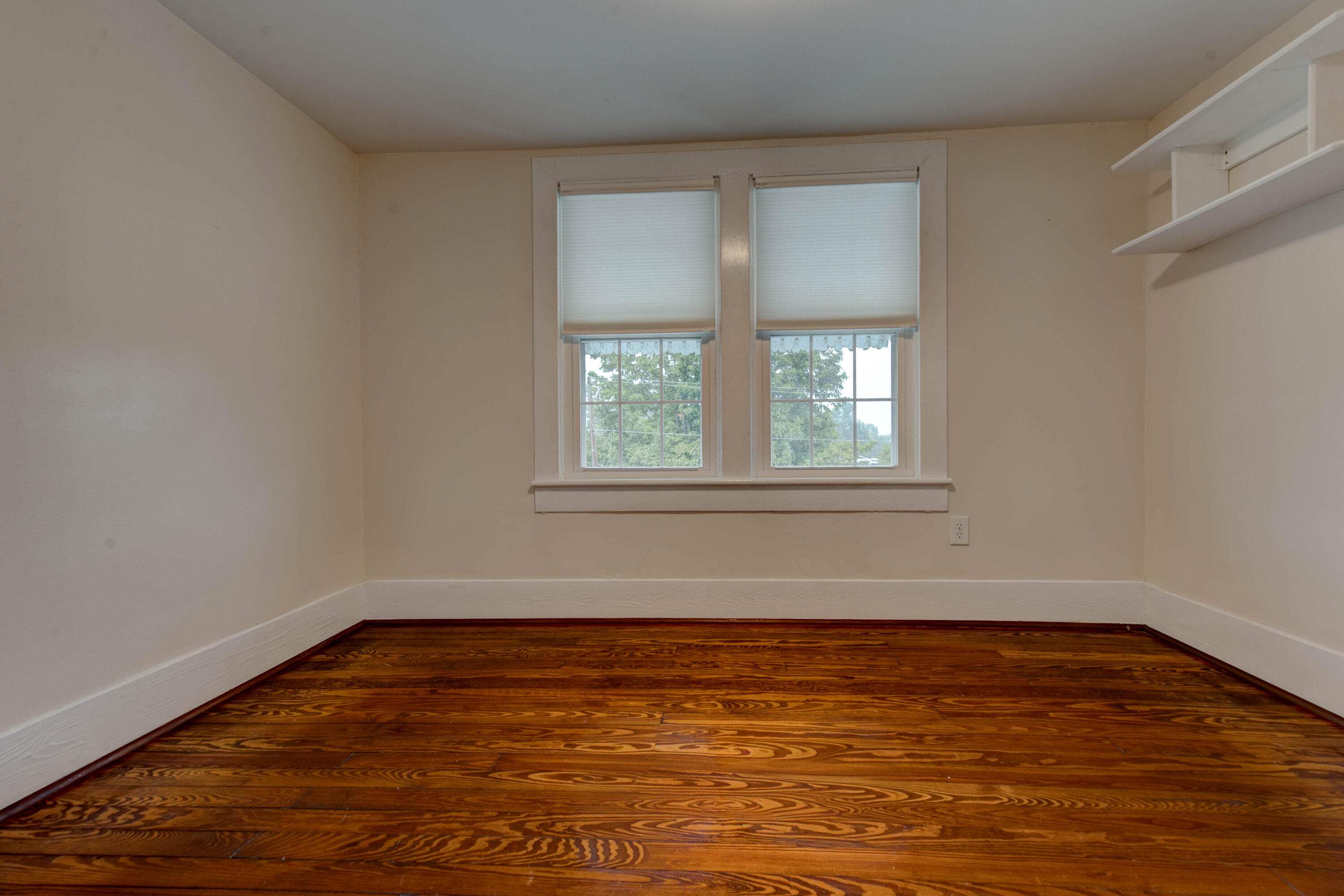 38 Johnson Avenue Property Photo 28