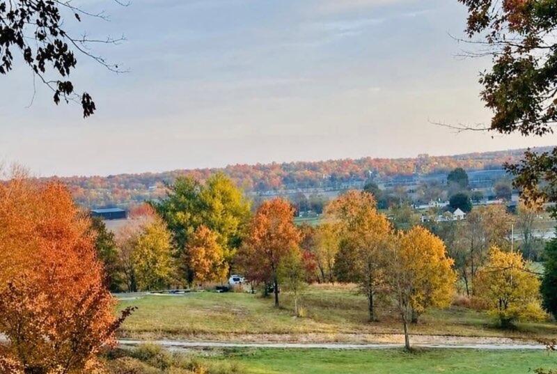 330 Spencer Lane Property Photo 50