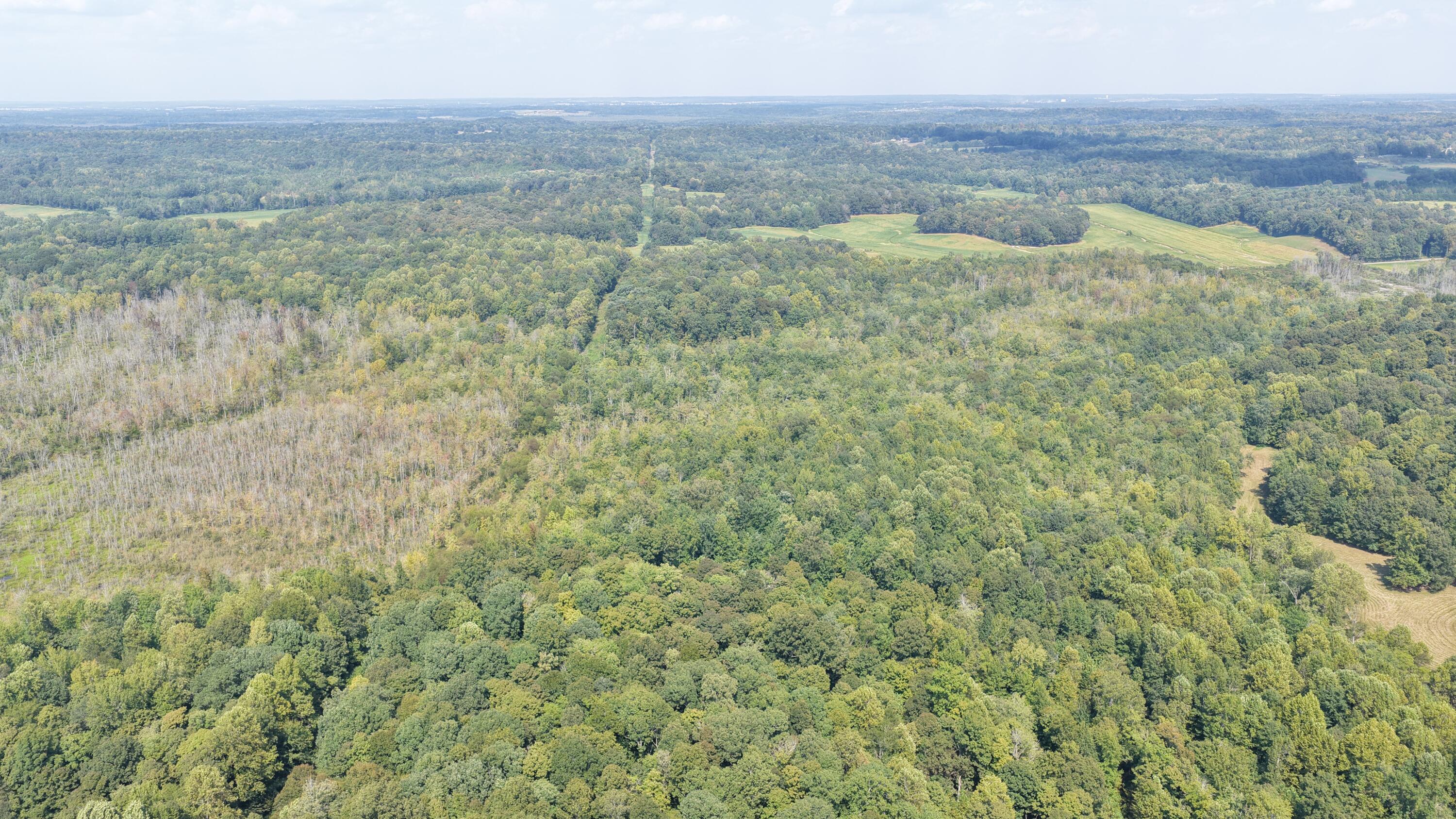 00 Ky 70 & Lee Johnson Lane Property Photo 10
