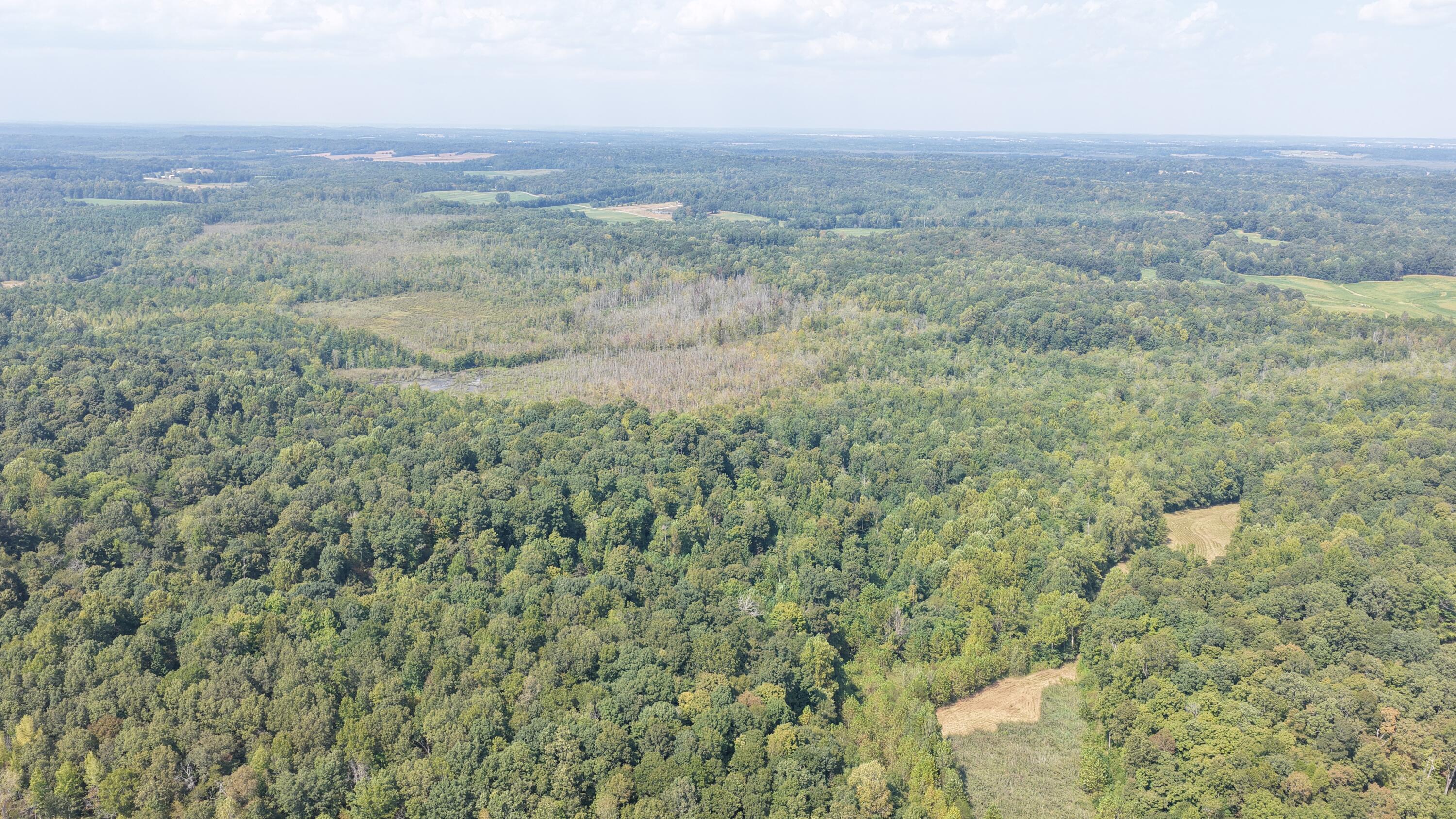 00 Ky 70 & Lee Johnson Lane Property Photo 17