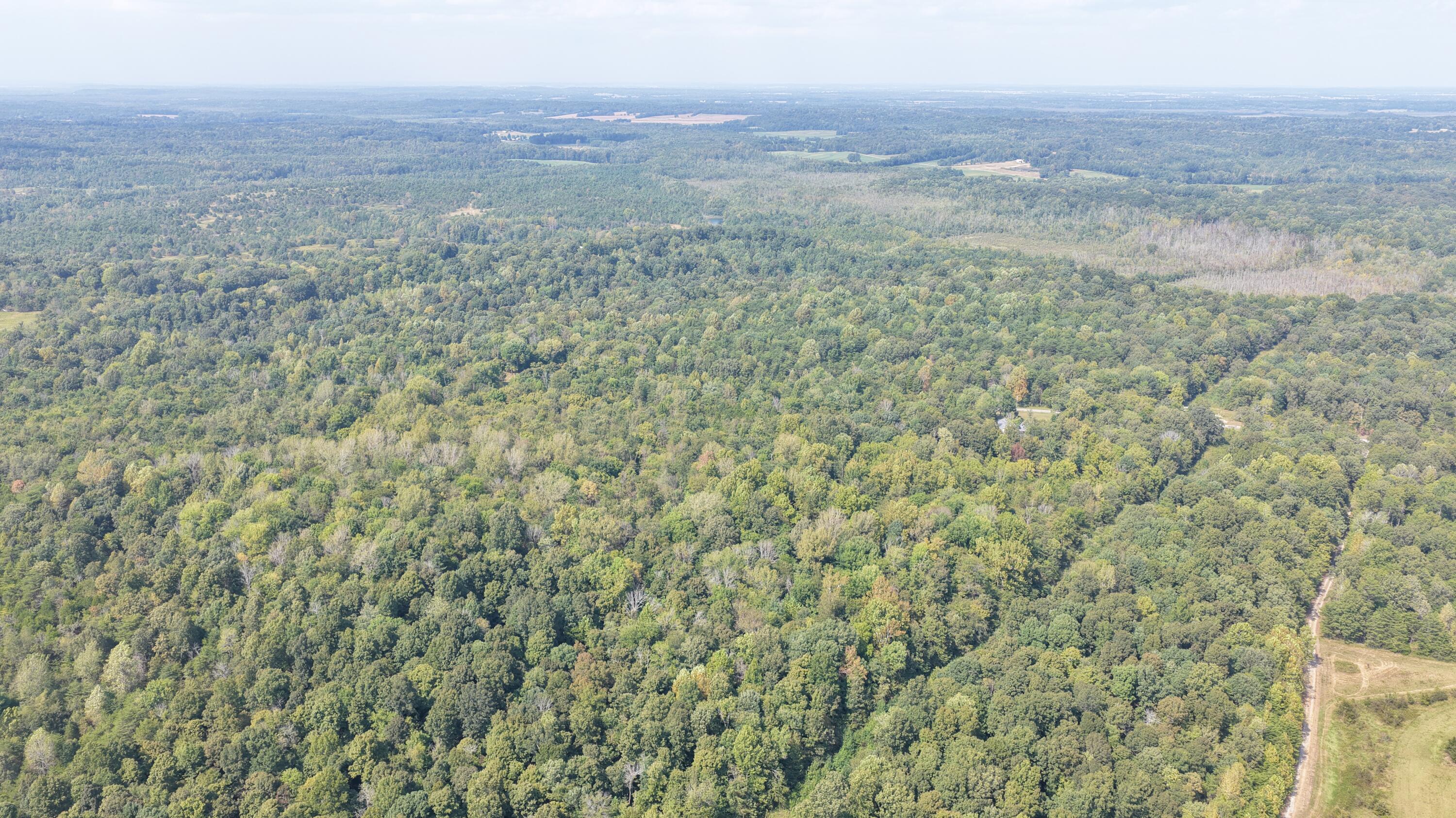 00 Ky 70 & Lee Johnson Lane Property Photo 19