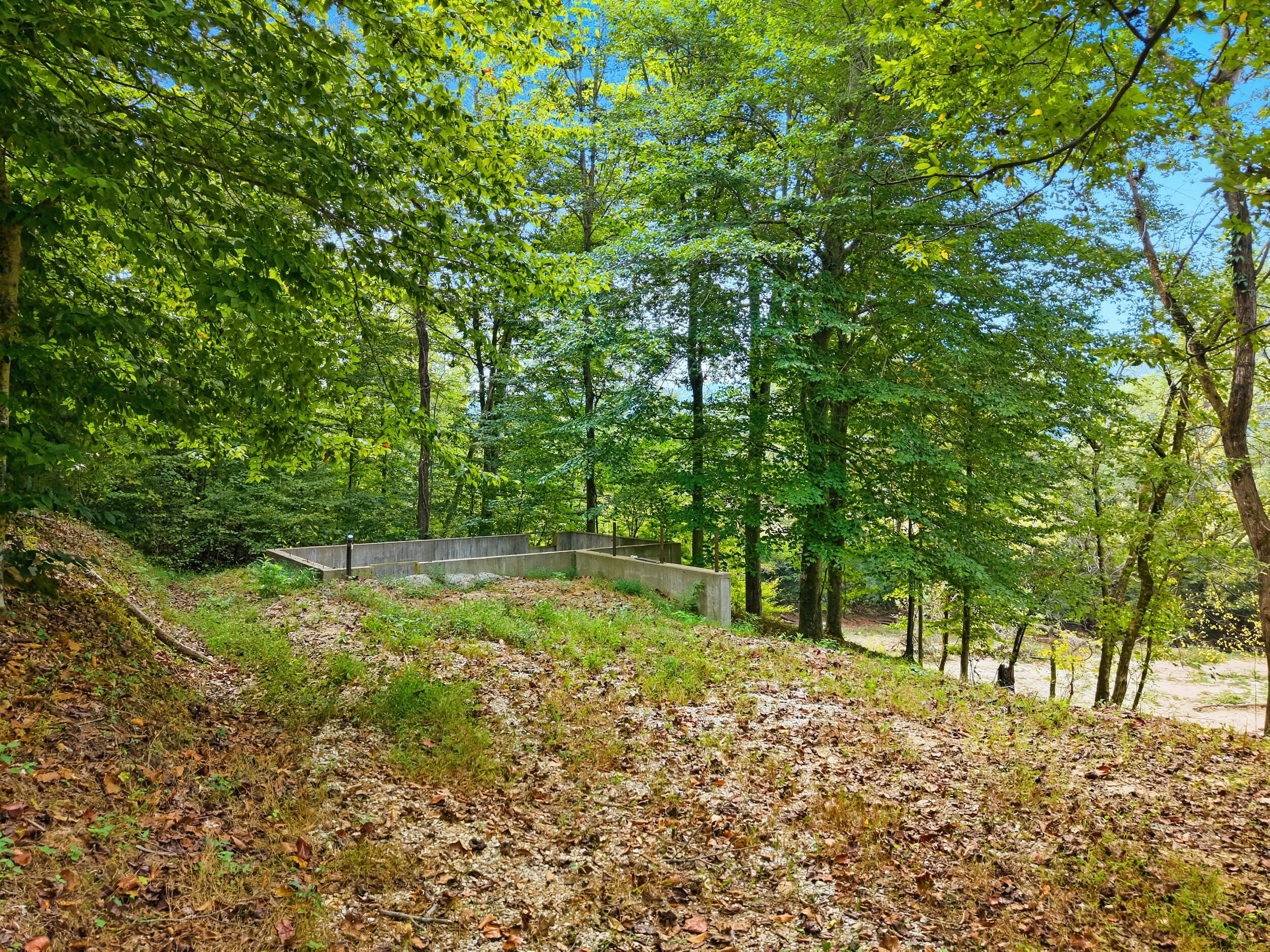 4931 N Fork Road Property Photo 3
