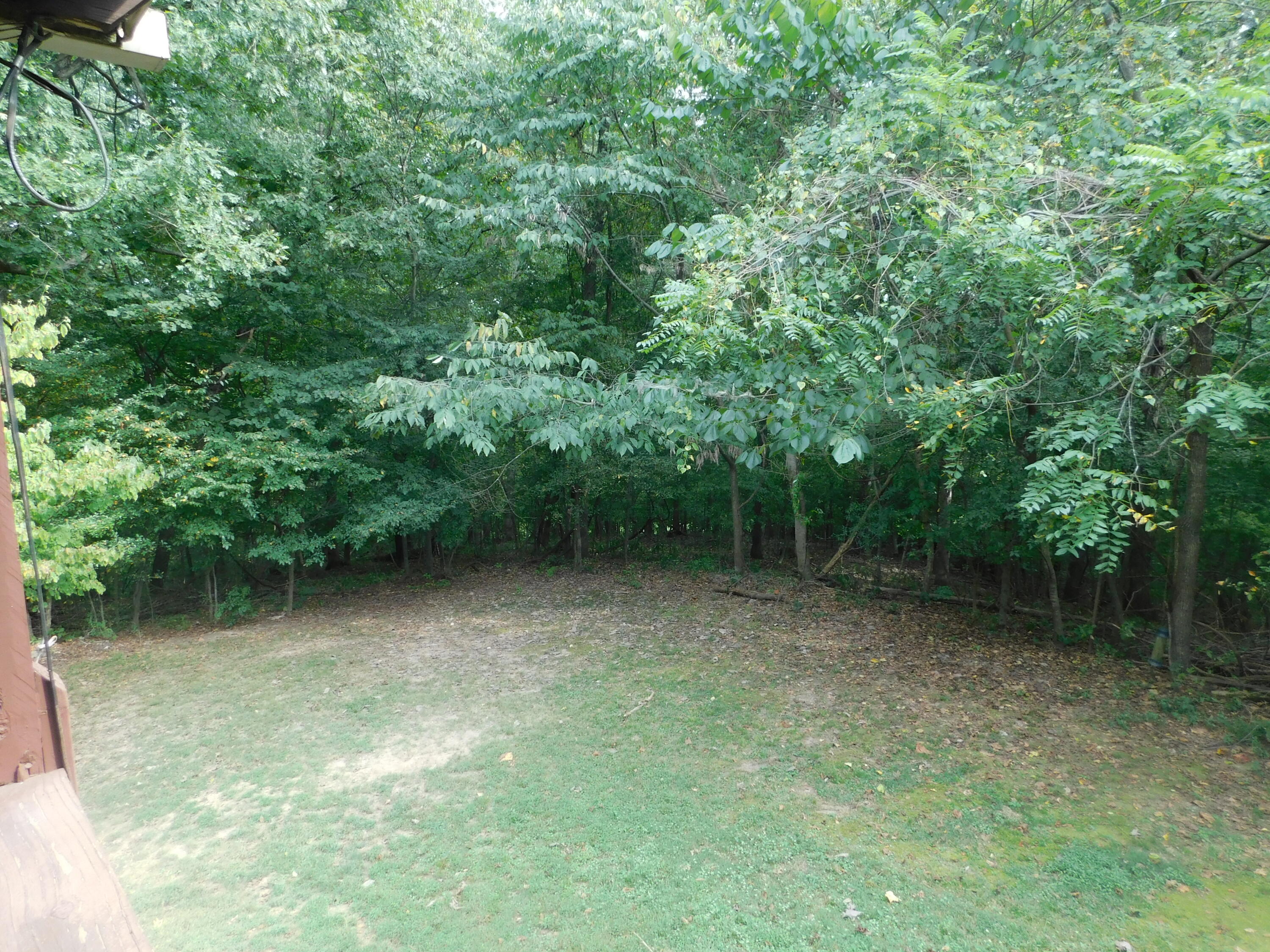 2064 Martin Chapel Road Property Photo 46