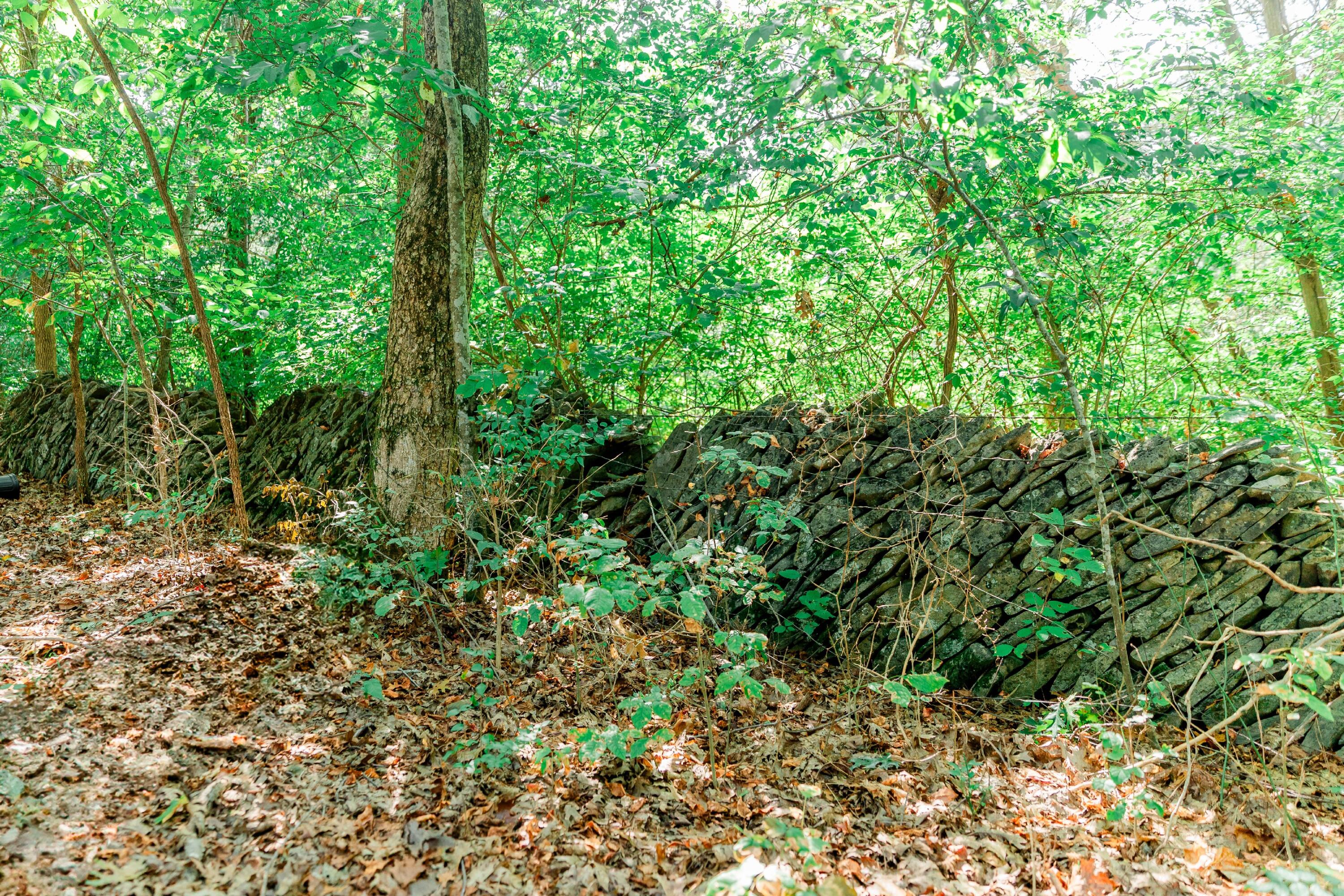 1160 Deer Run Rd Road Property Photo 60
