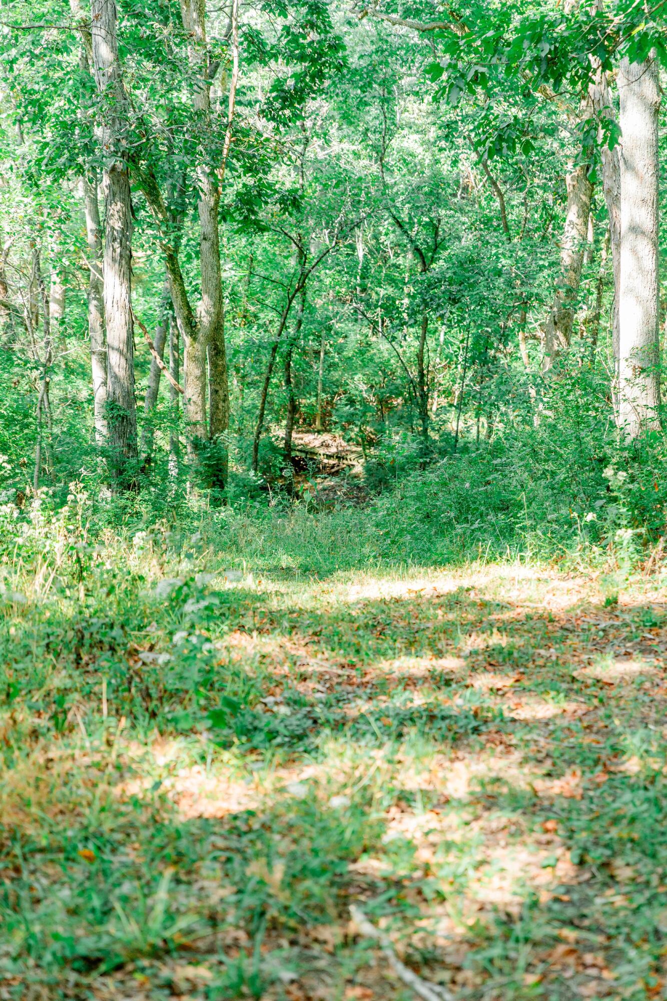 1160 Deer Run Rd Road Property Photo 63