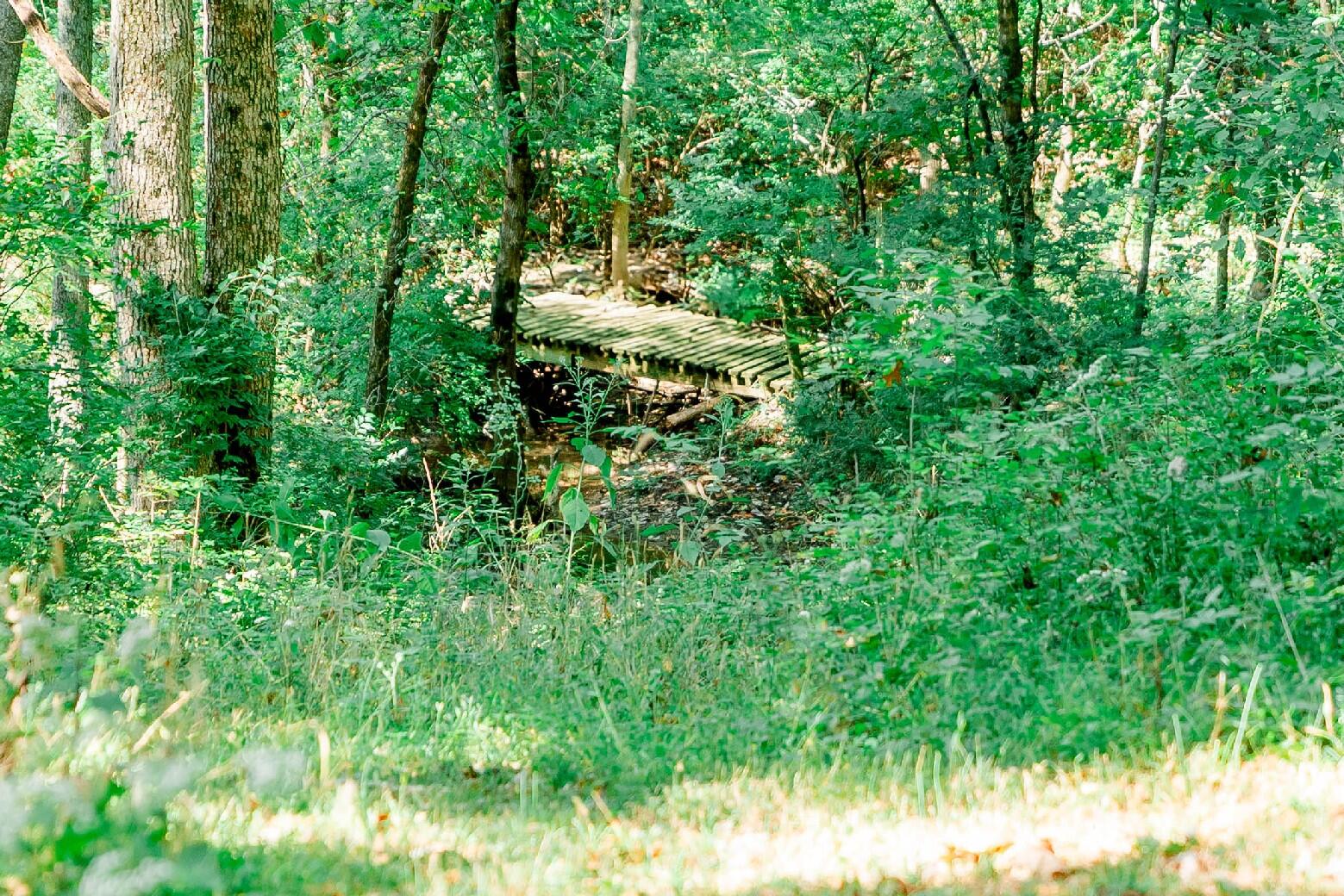 1160 Deer Run Rd Road Property Photo 64