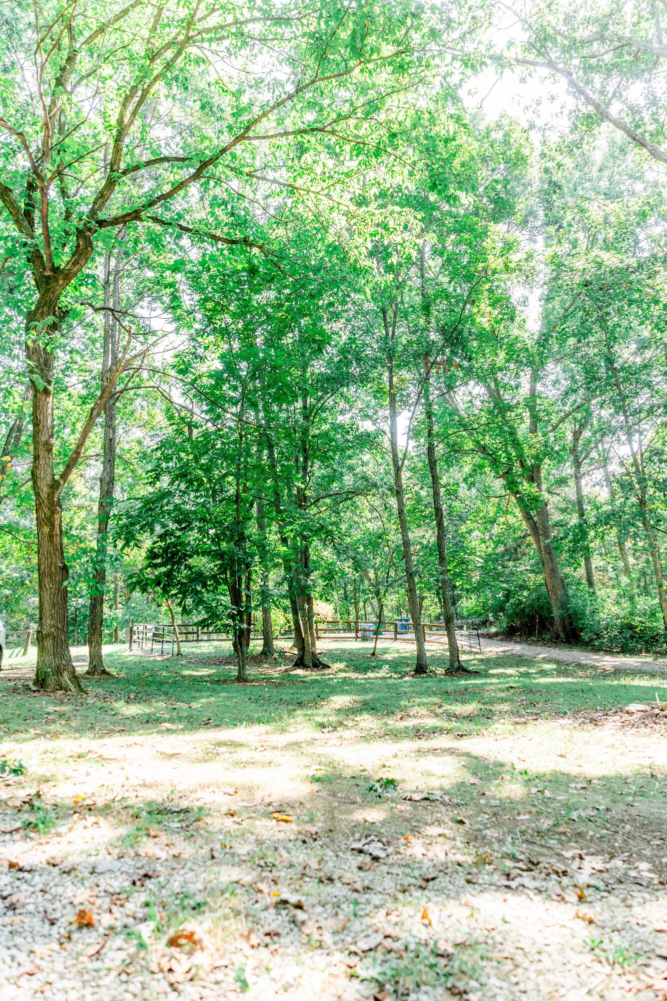 1160 Deer Run Rd Road Property Photo 80