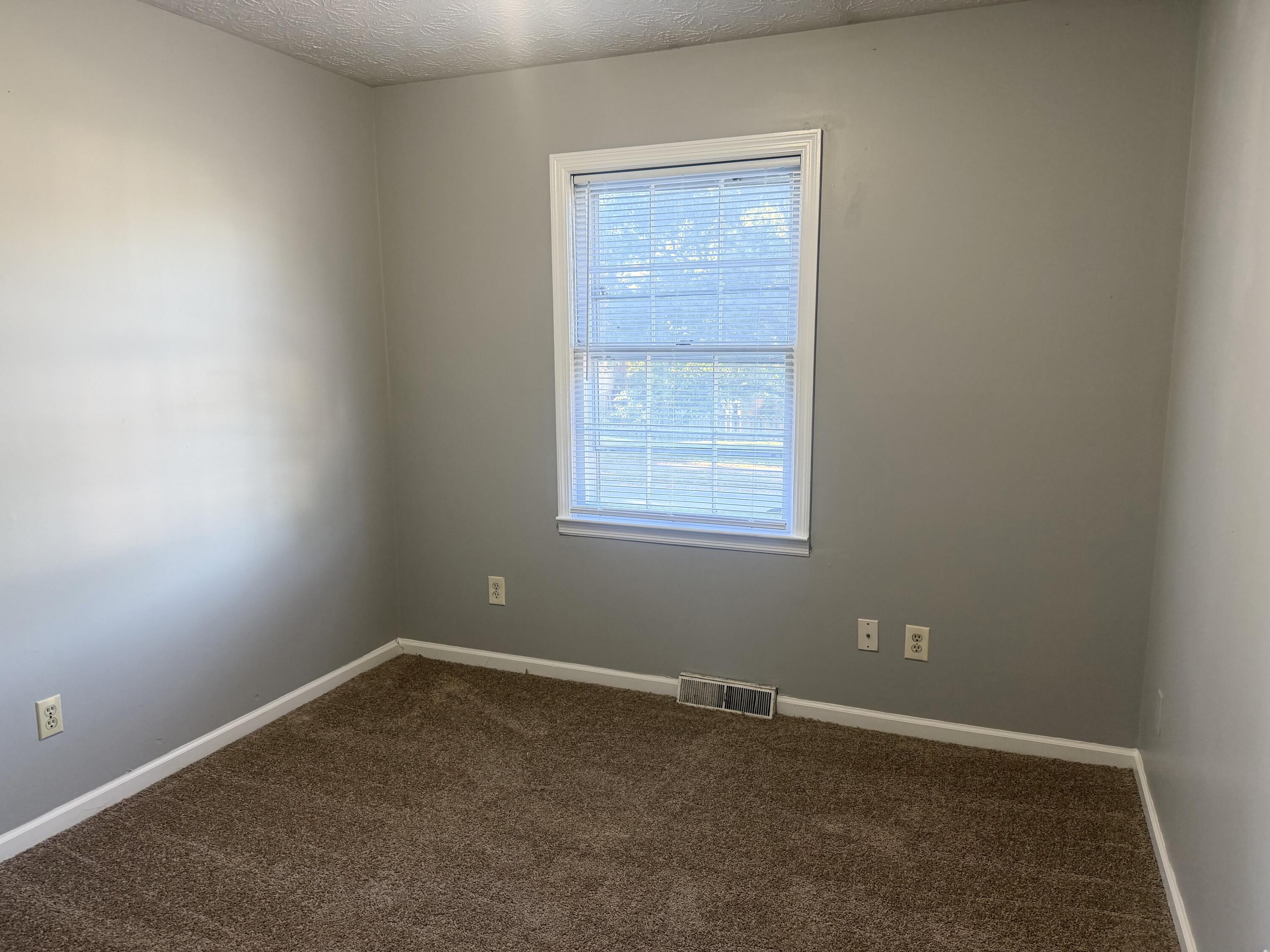 3872 Hidden Springs Drive Property Photo 10