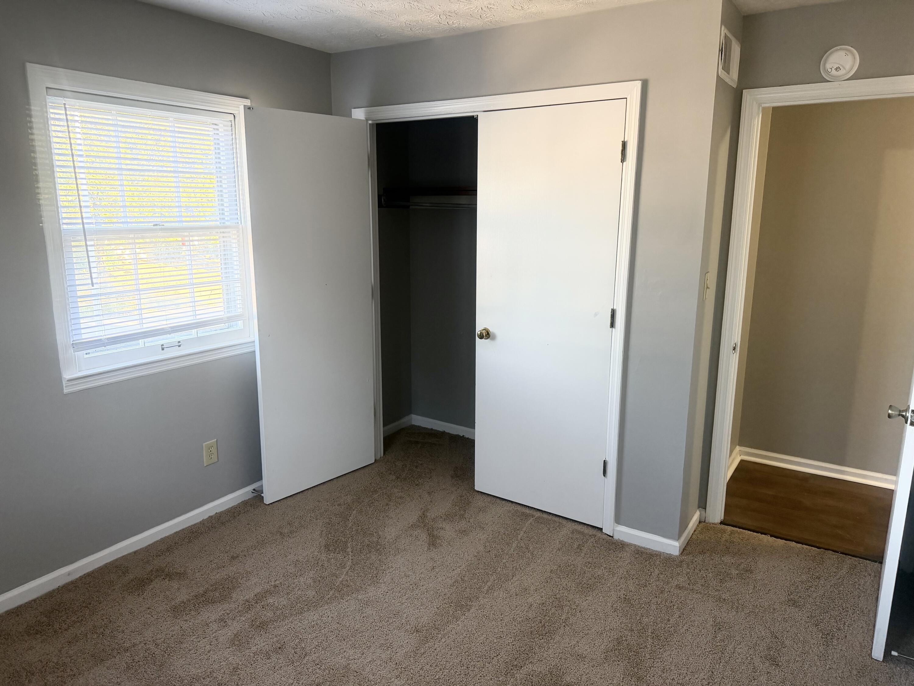 3872 Hidden Springs Drive Property Photo 11