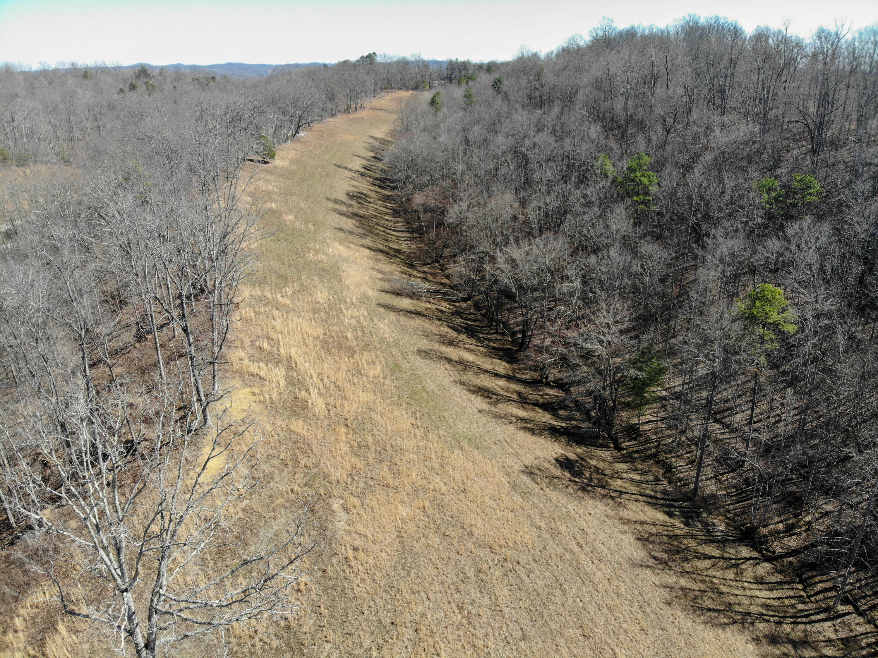 26026415 Property Photo 43