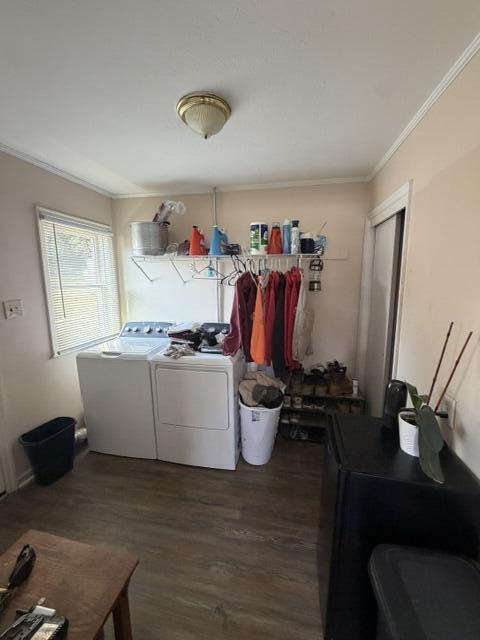 1711 Irvine Road Property Photo 5