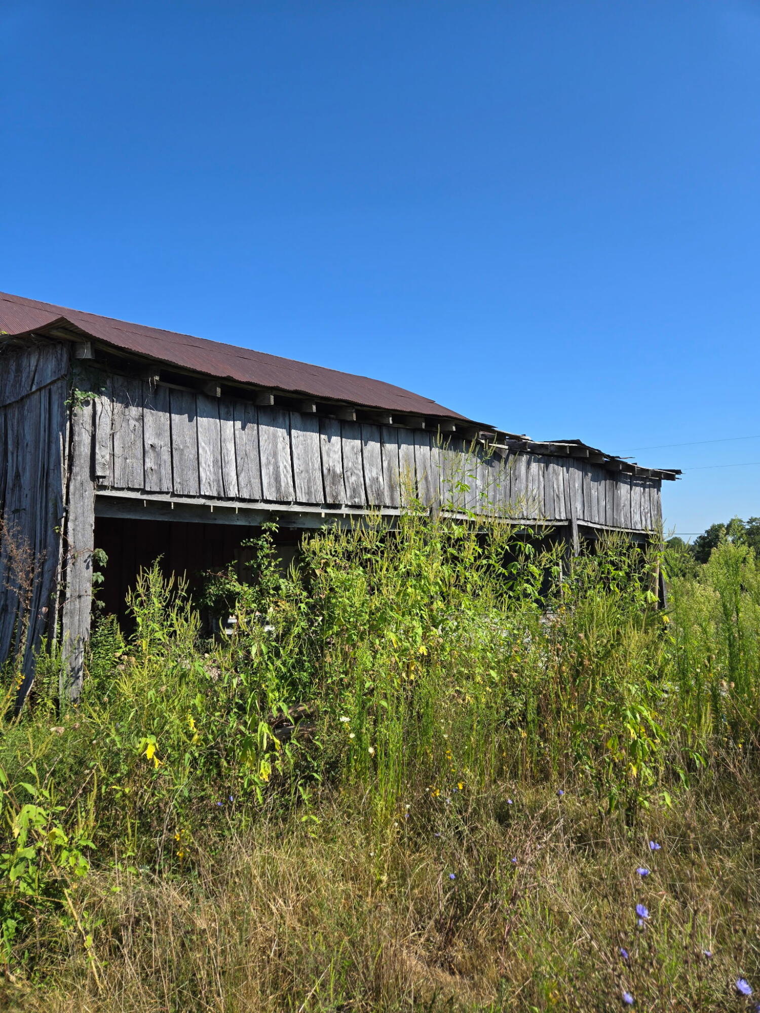 414 Statham Road Property Photo 12