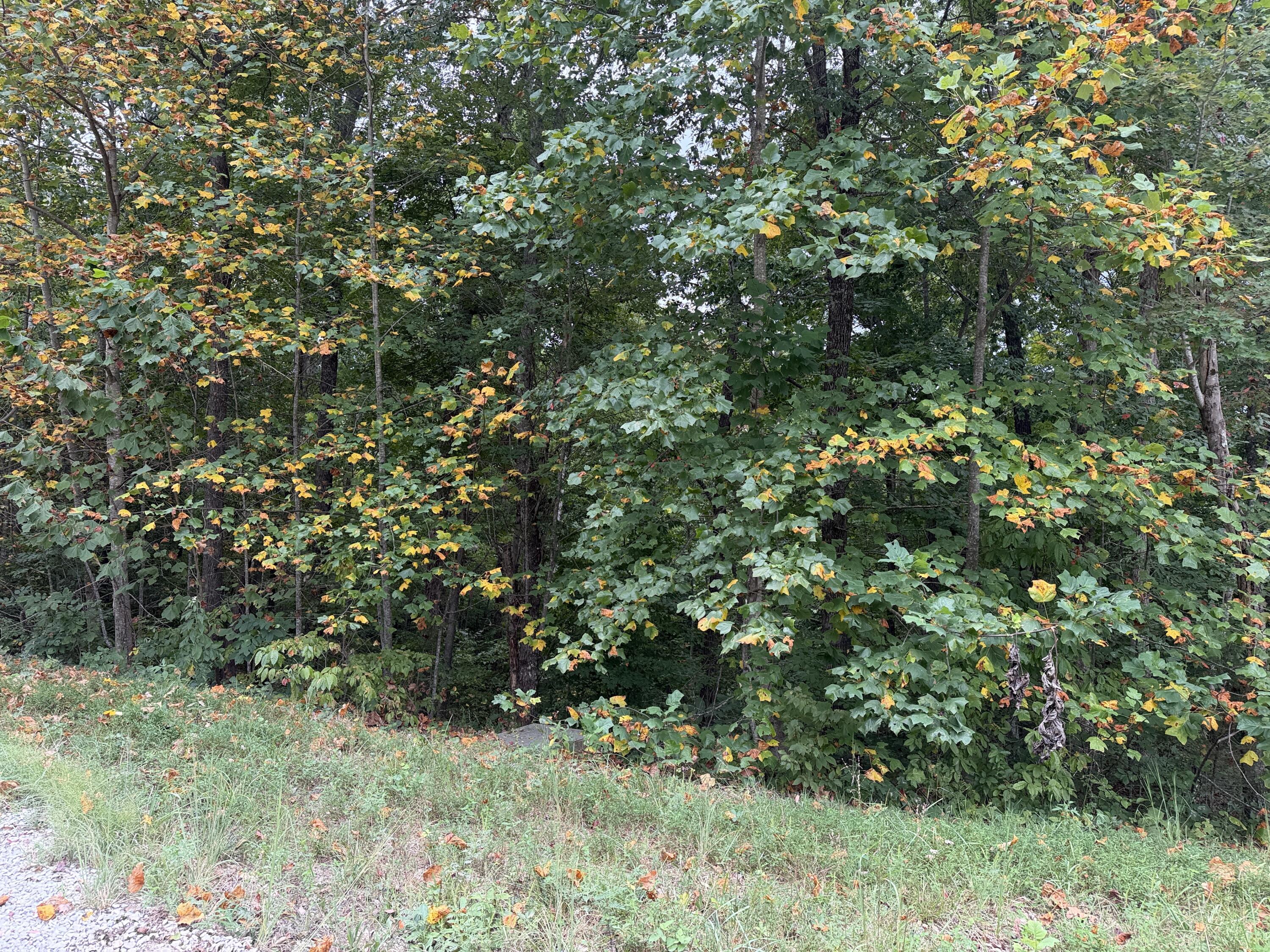 Lot 5 N Shore Drive Property Photo 2