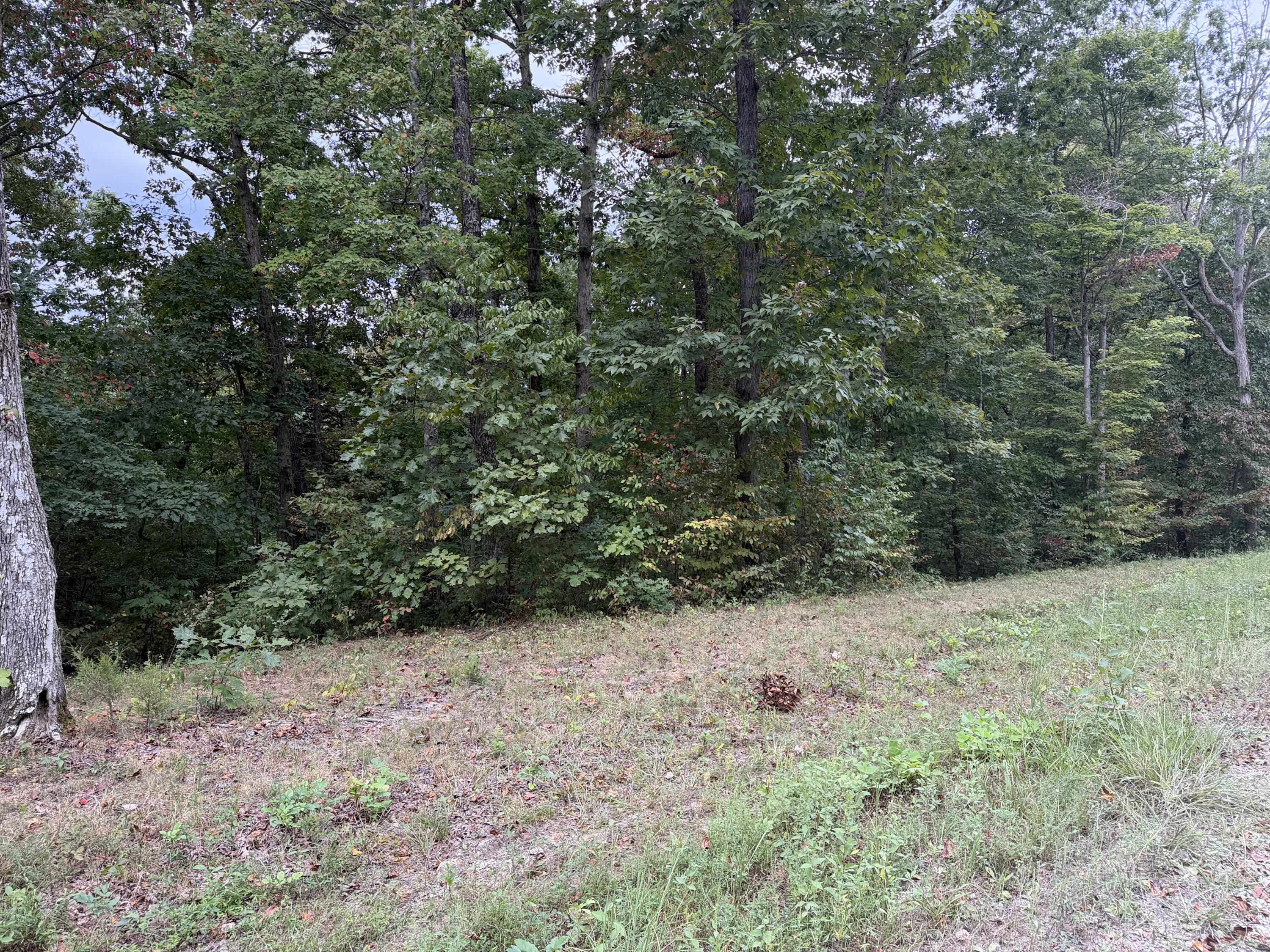 Lot 5 N Shore Drive Property Photo 3