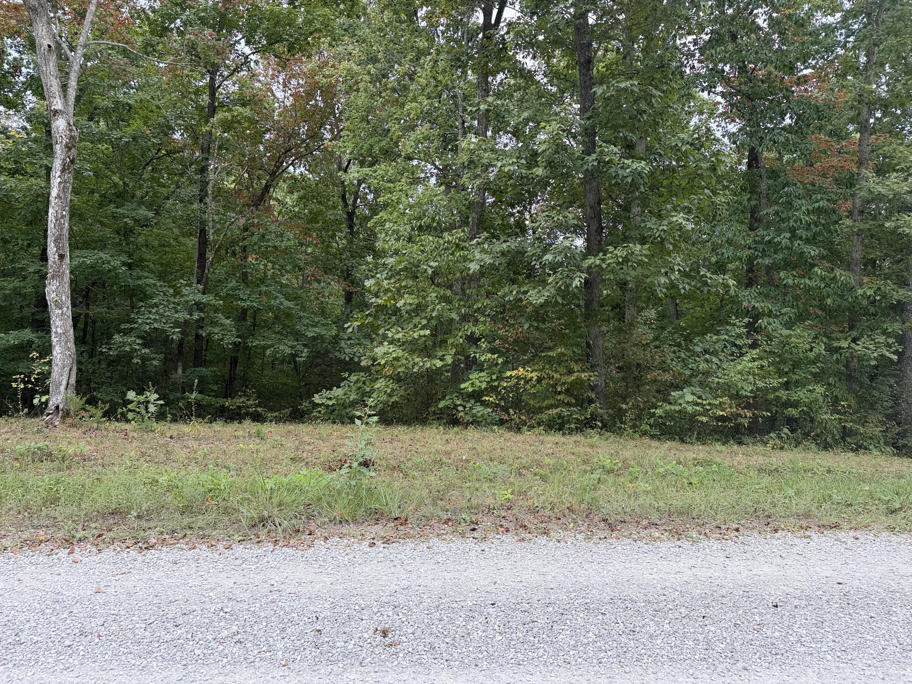 Lot 5 N Shore Drive Property Photo 4