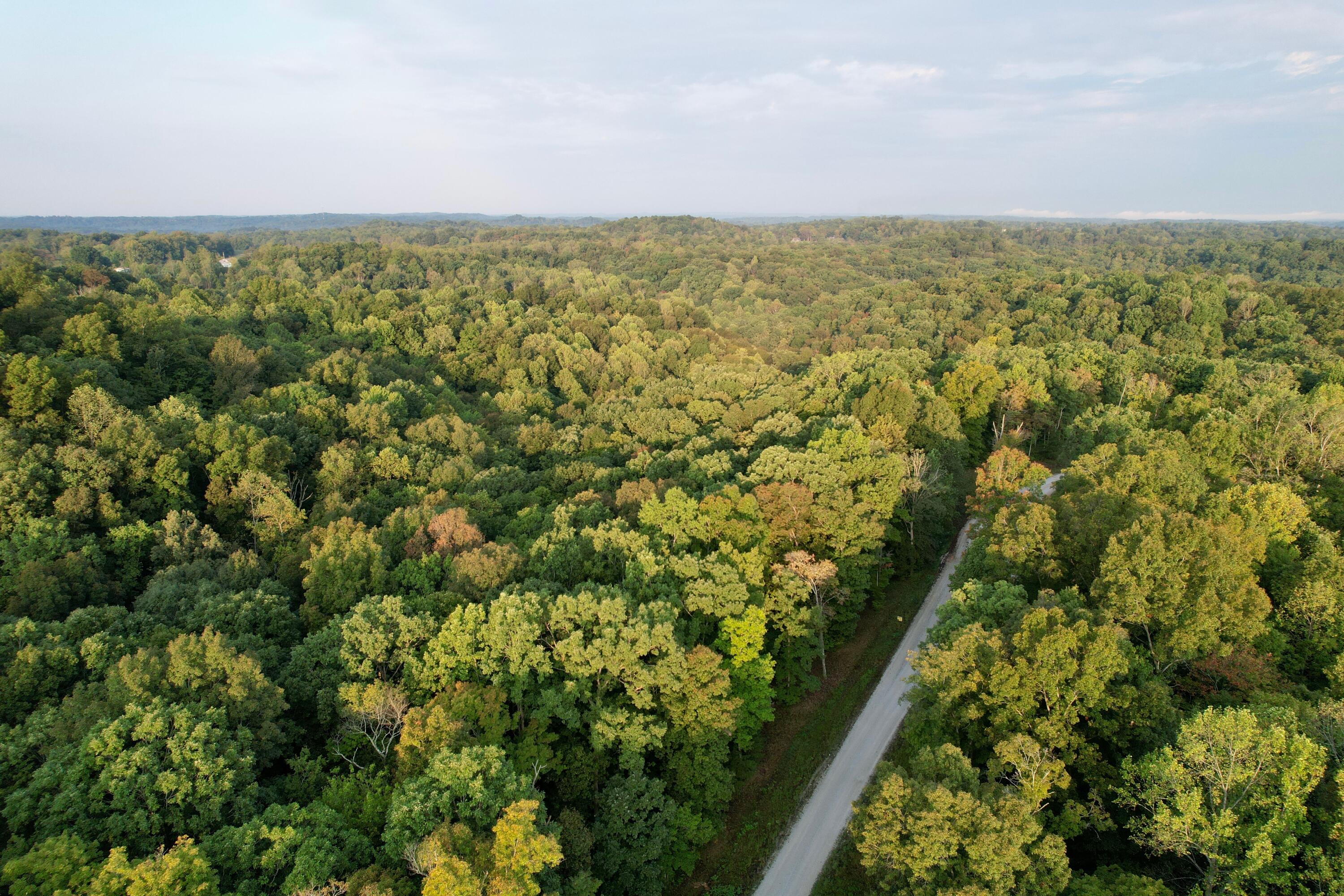 Lot 5 N Shore Drive Property Photo 5