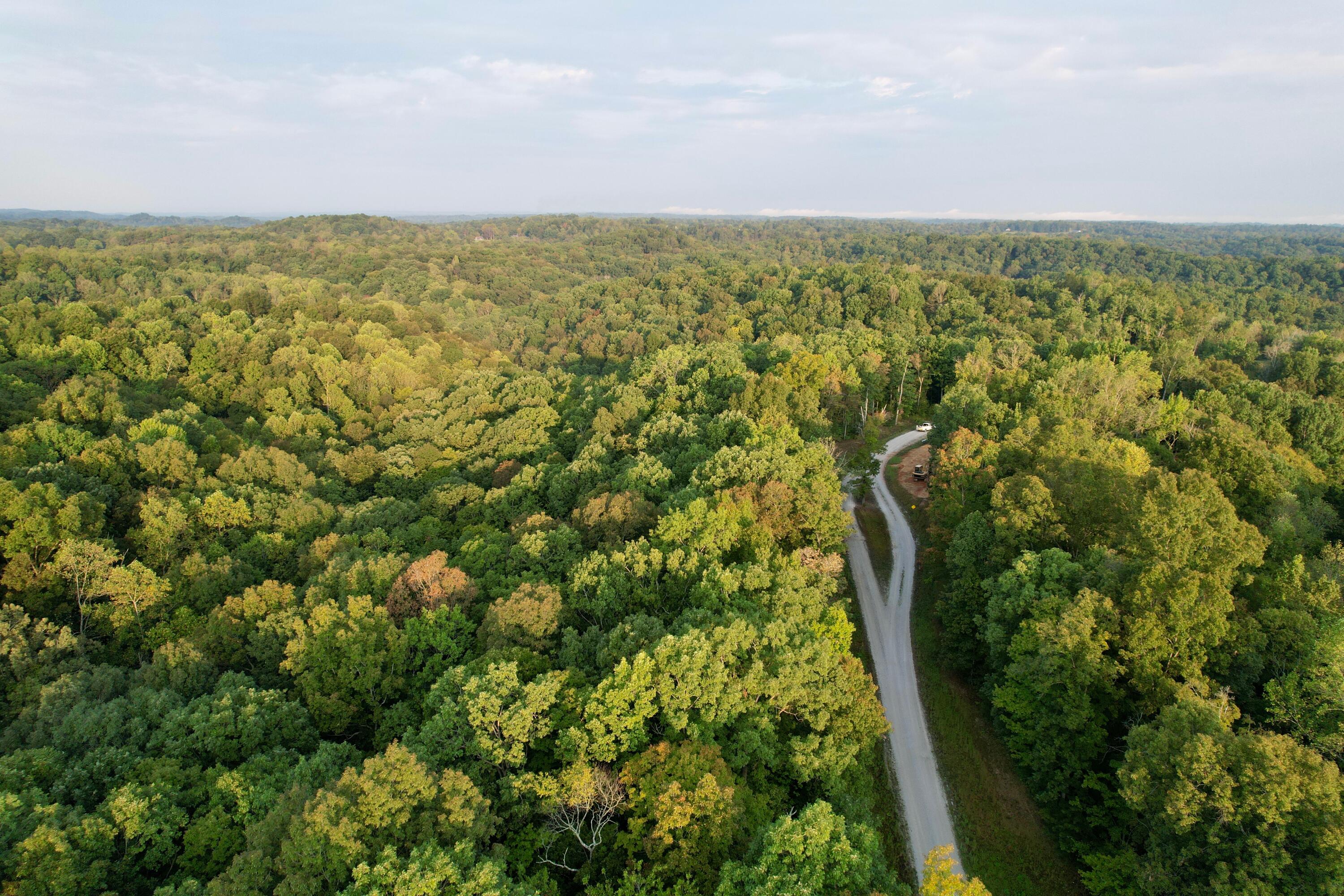 Lot 5 N Shore Drive Property Photo 6