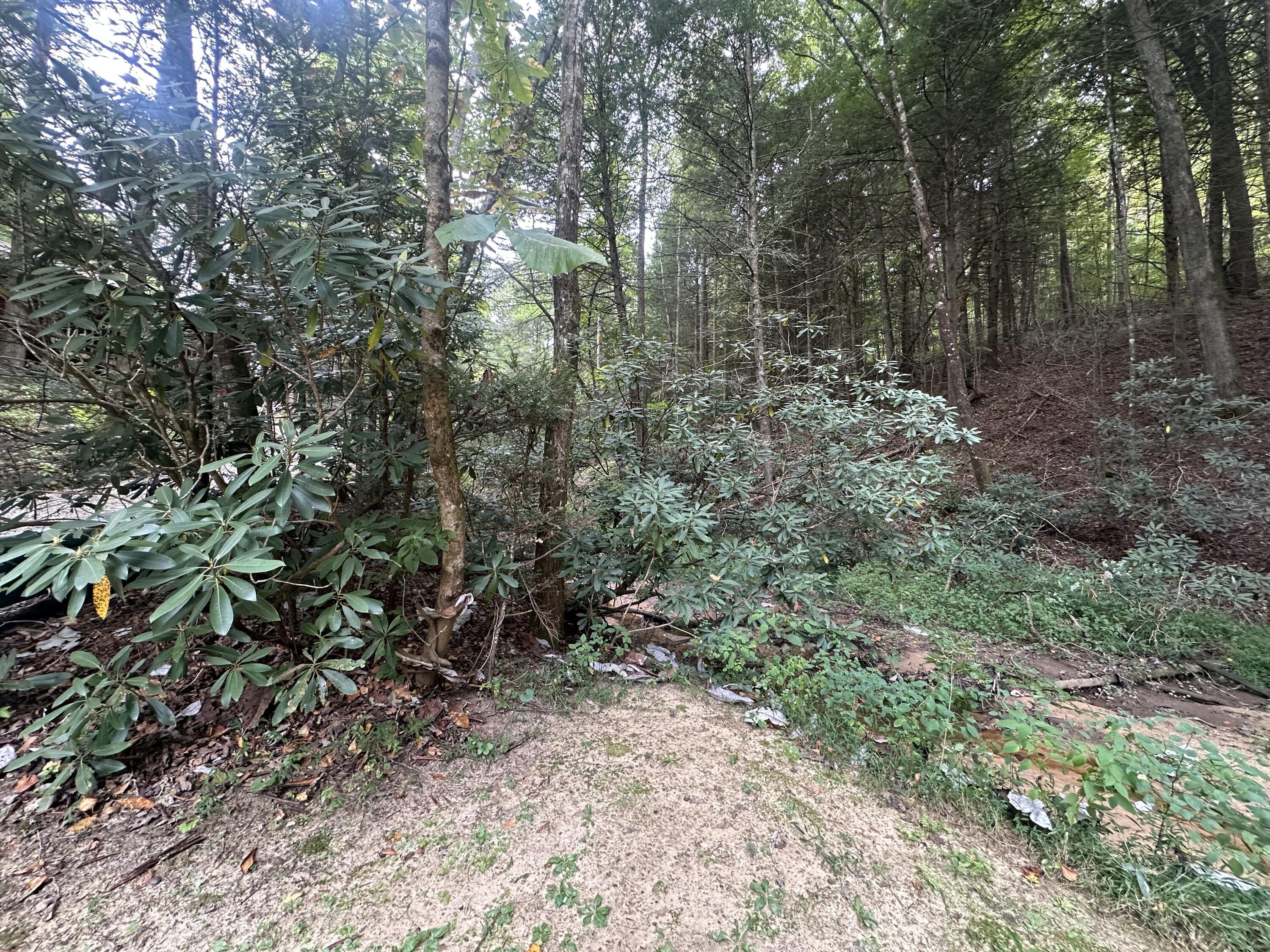 352 R Shell Circle Property Photo 33