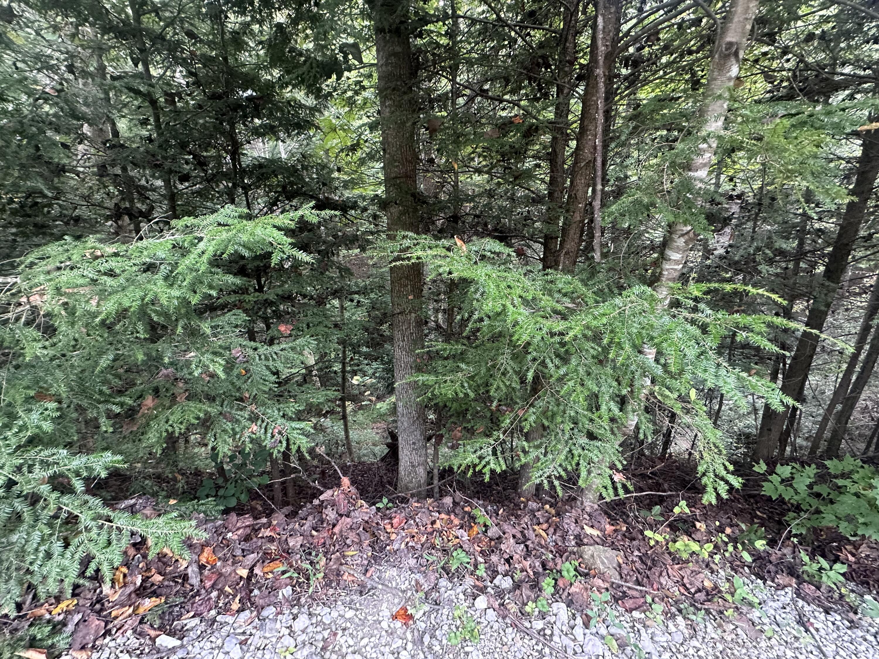 352 R Shell Circle Property Photo 42