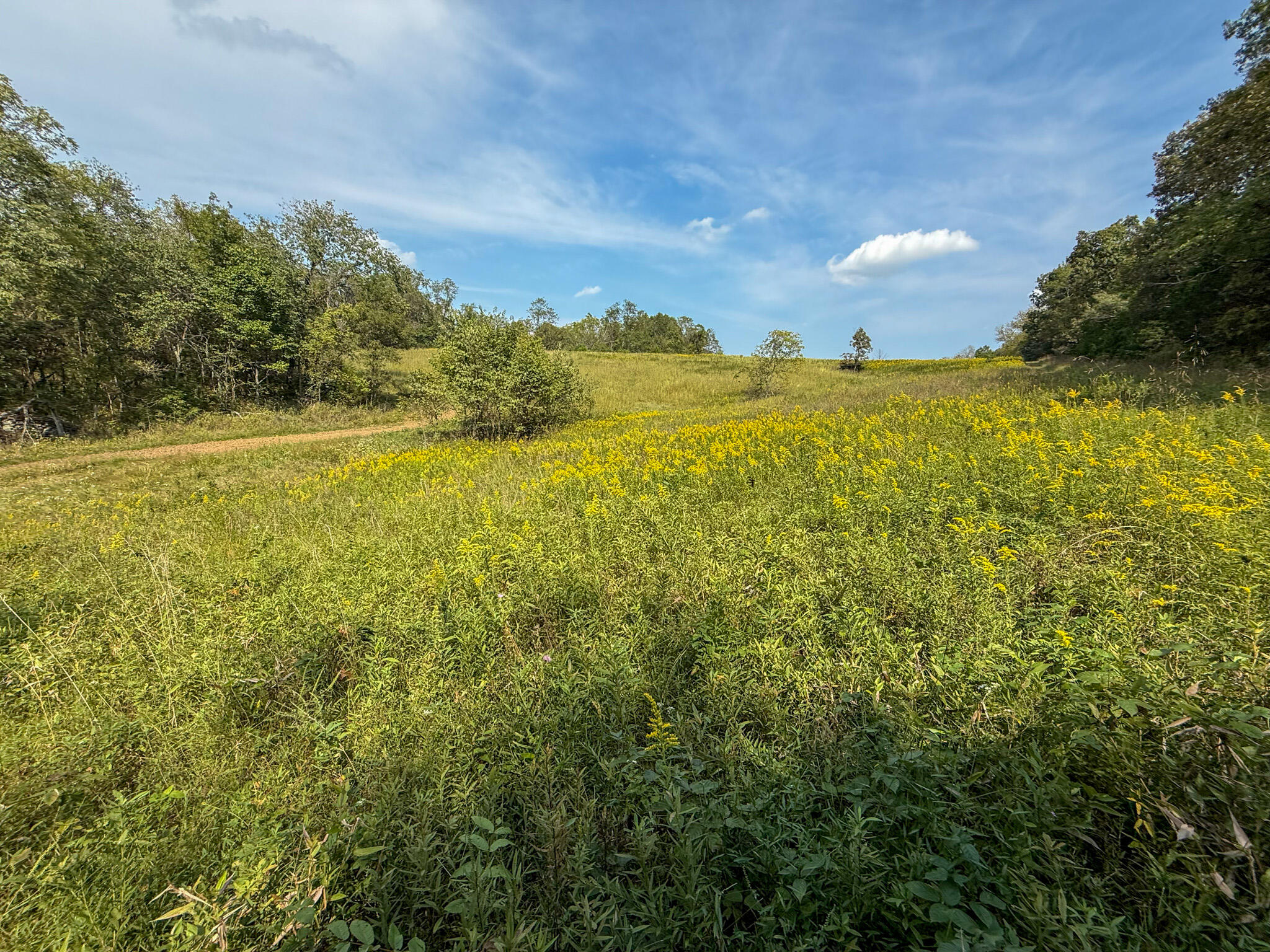 695 R Hazelton Road Property Photo 7