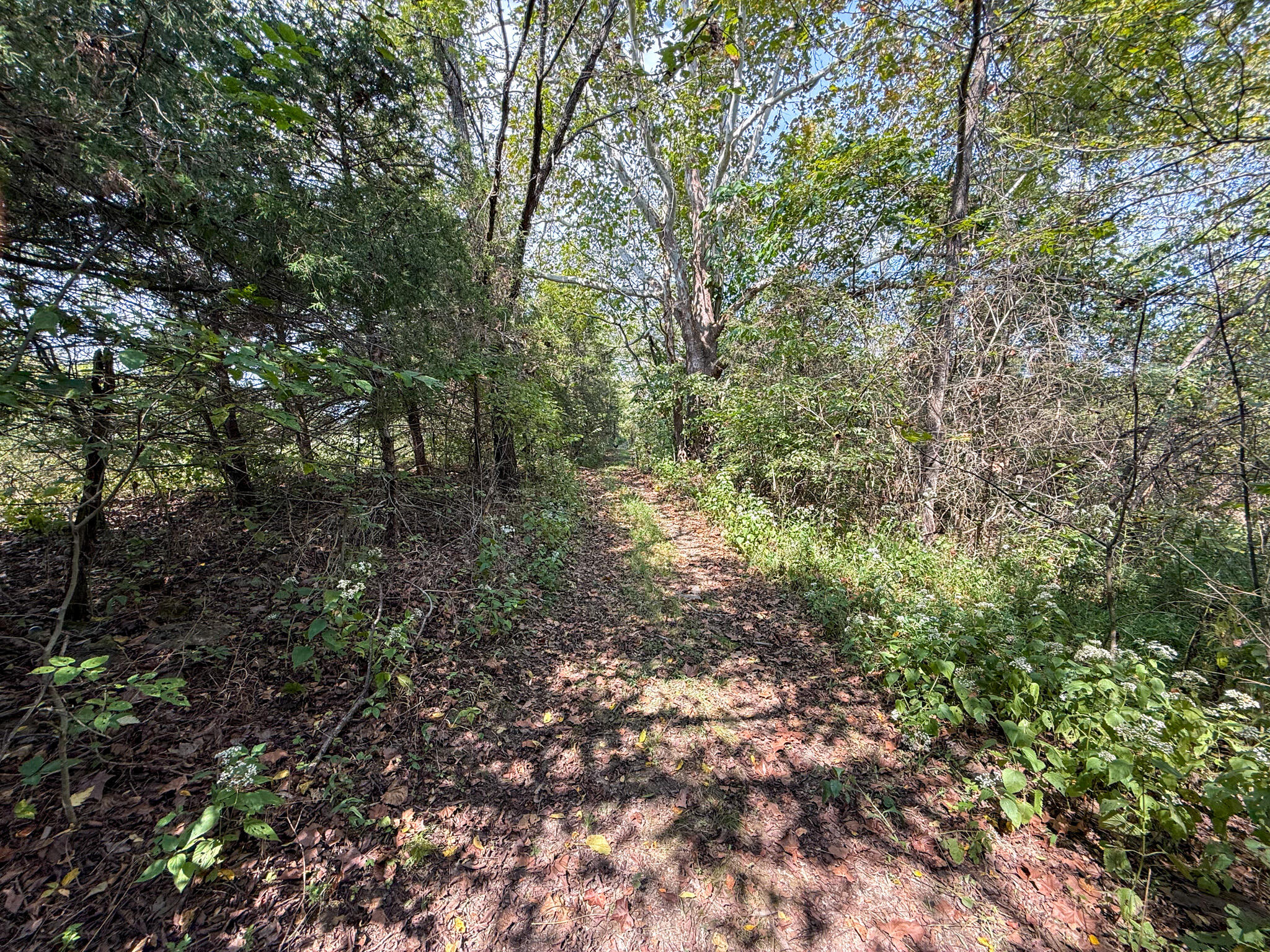 695 R Hazelton Road Property Photo 9