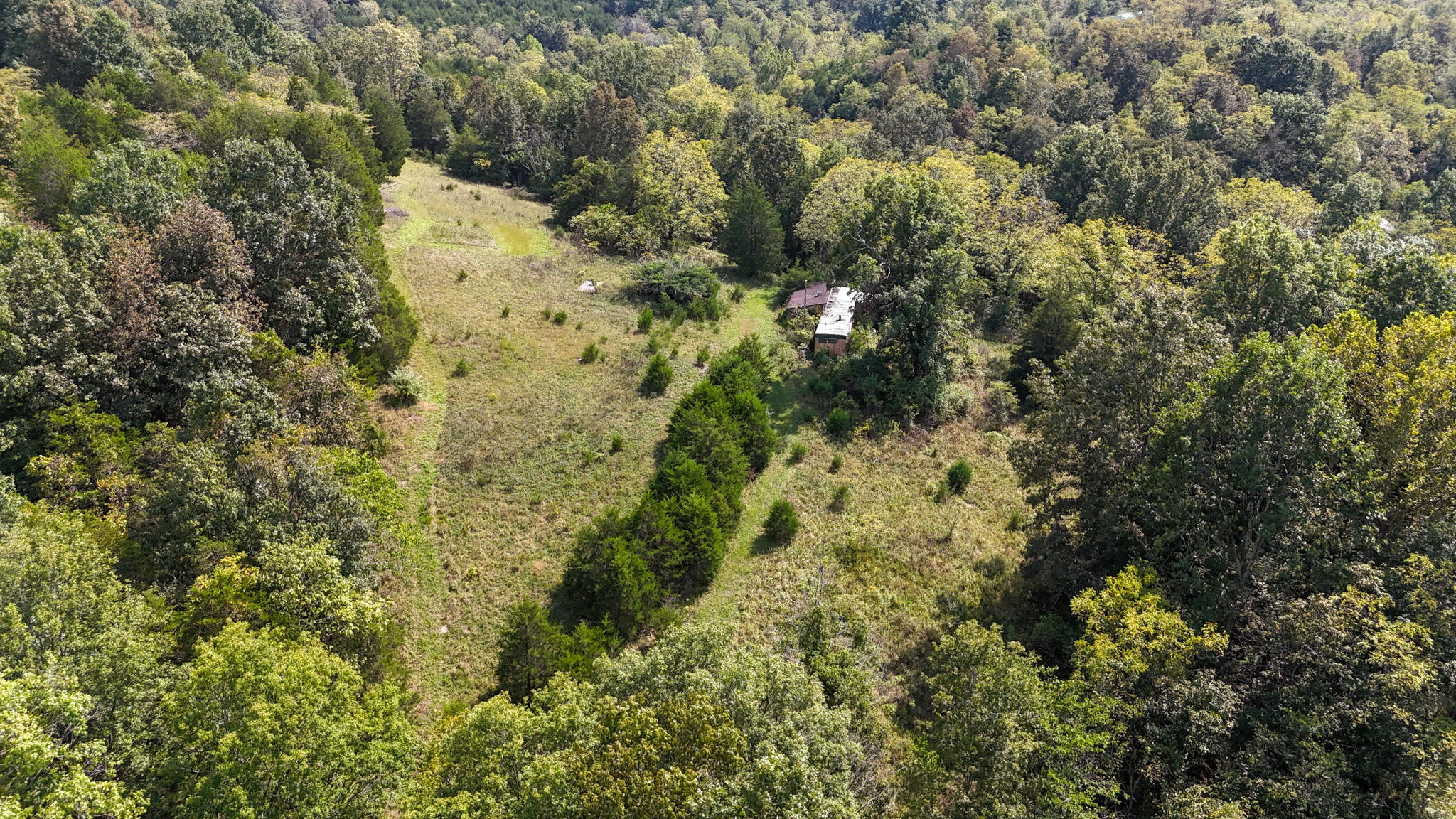 695 R Hazelton Road Property Photo 13