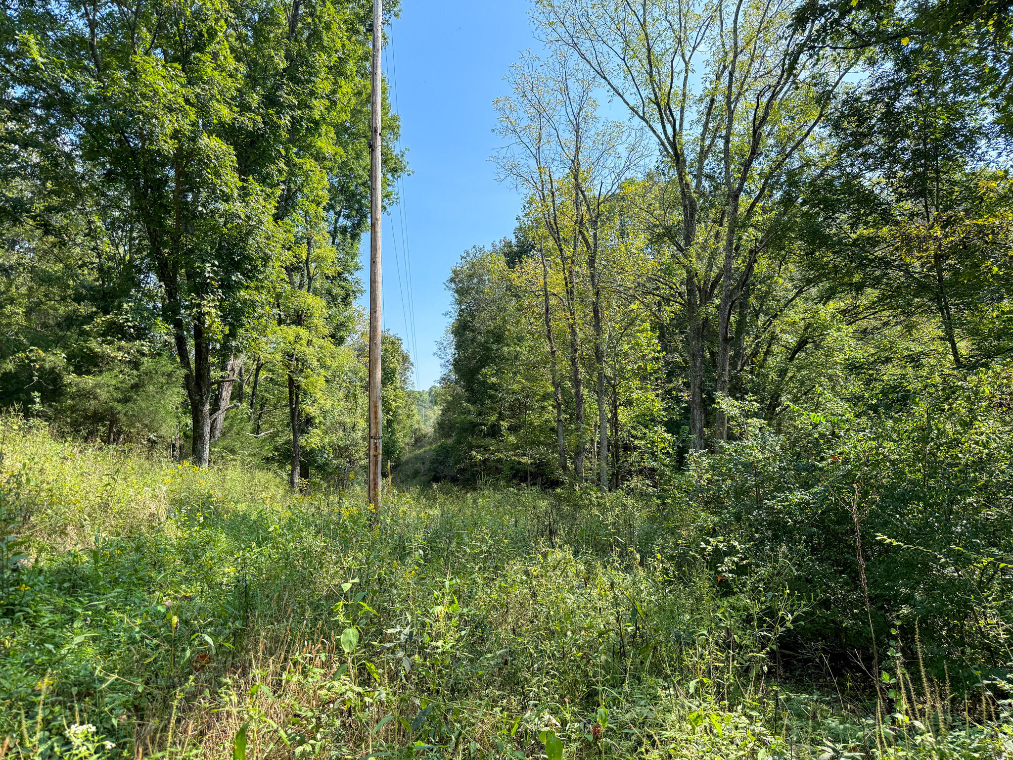 695 R Hazelton Road Property Photo 44