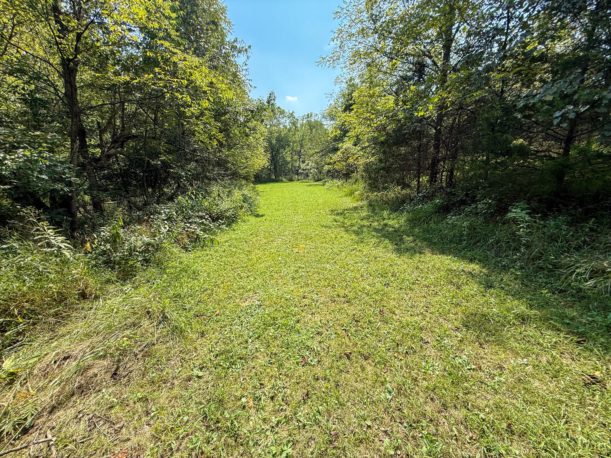 695 R Hazelton Road Property Photo 56