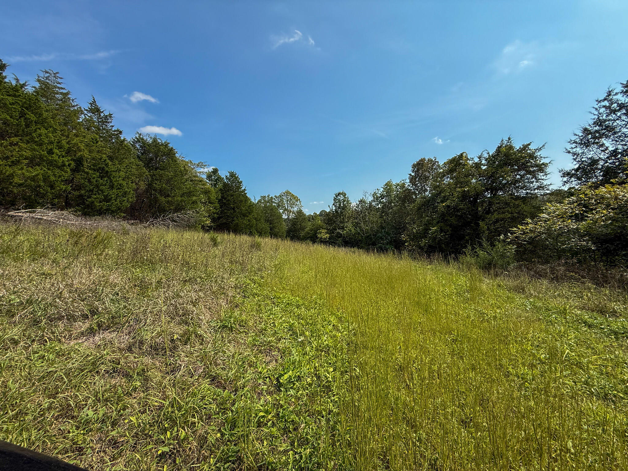 695 R Hazelton Road Property Photo 58