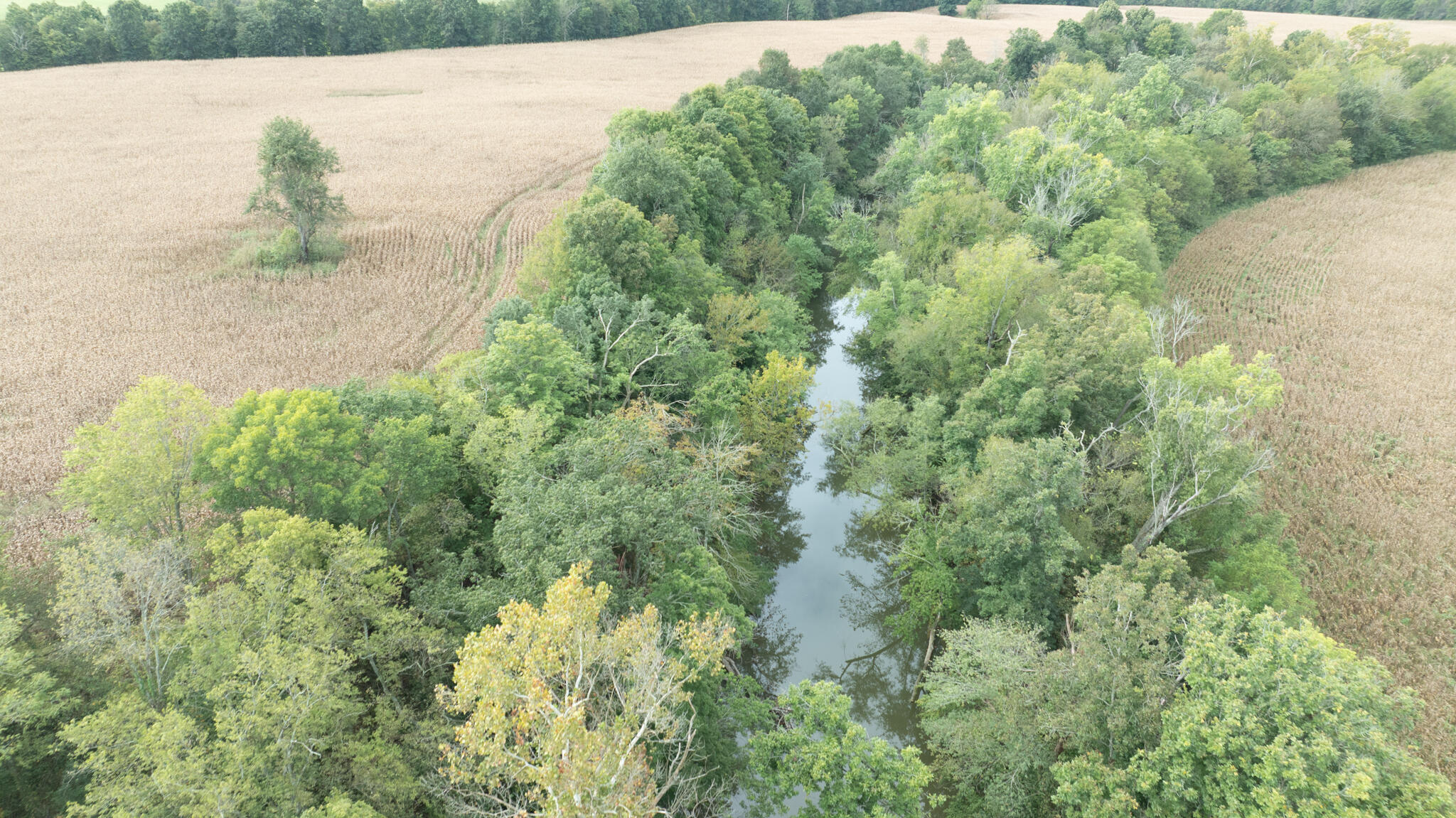 3730 Goshen Road Property Photo 4