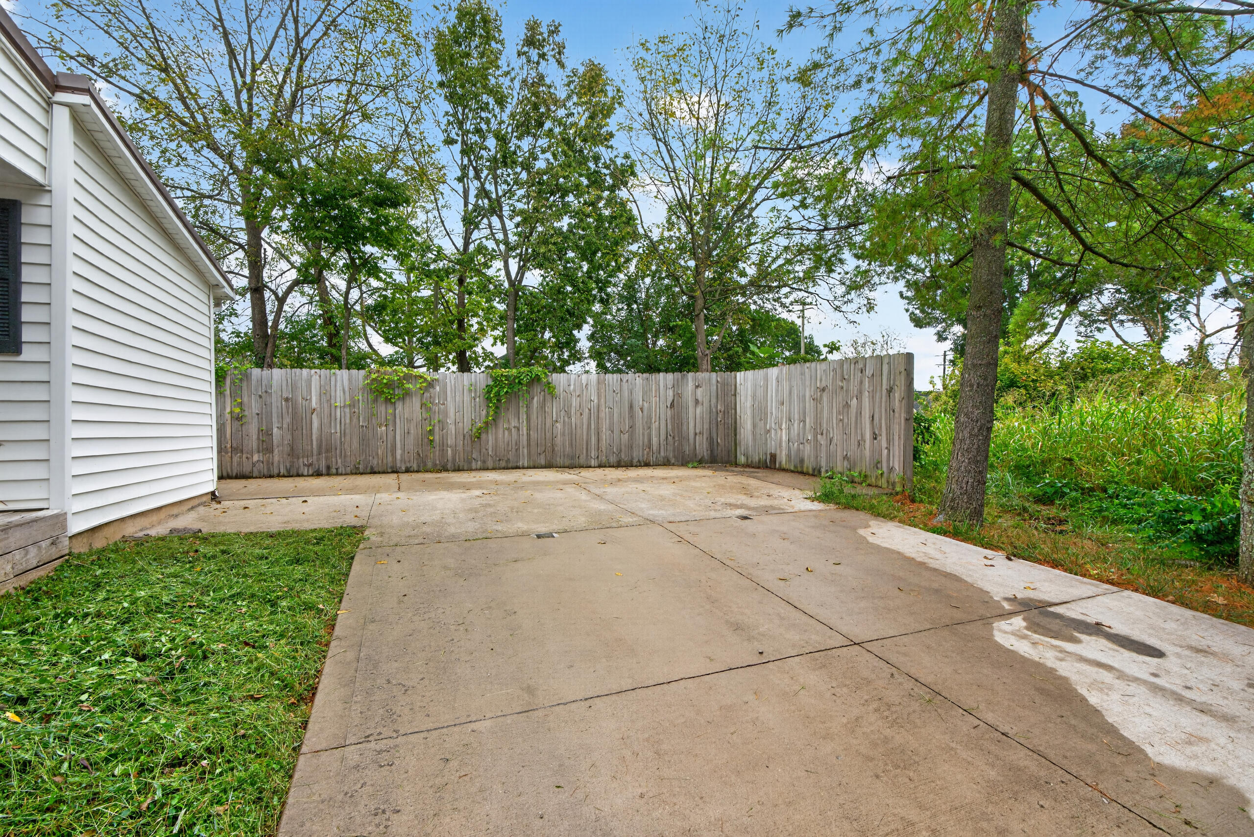 222 Mount Airy Avenue Property Photo 19