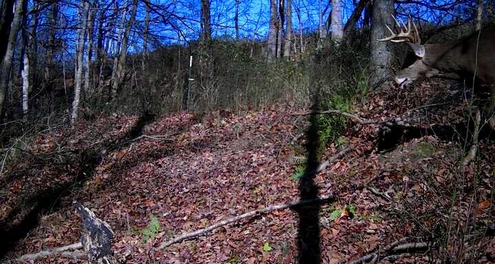 375 Statham Road Property Photo 9
