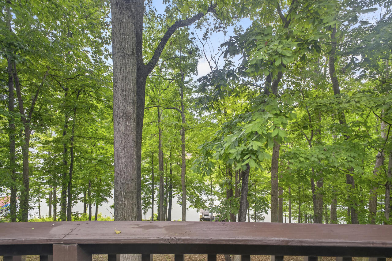 96 Bluebird Hollow Property Photo 35