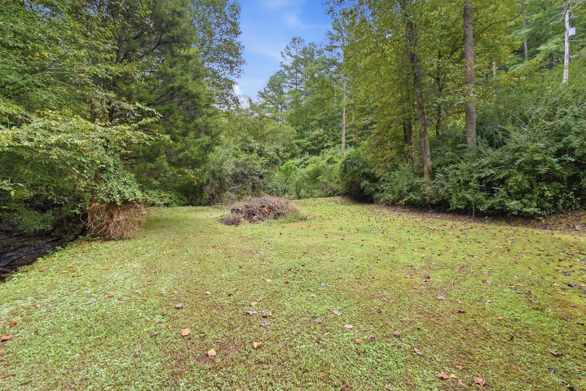 5564 Right Fork Of Maces Creek Road Property Photo 41