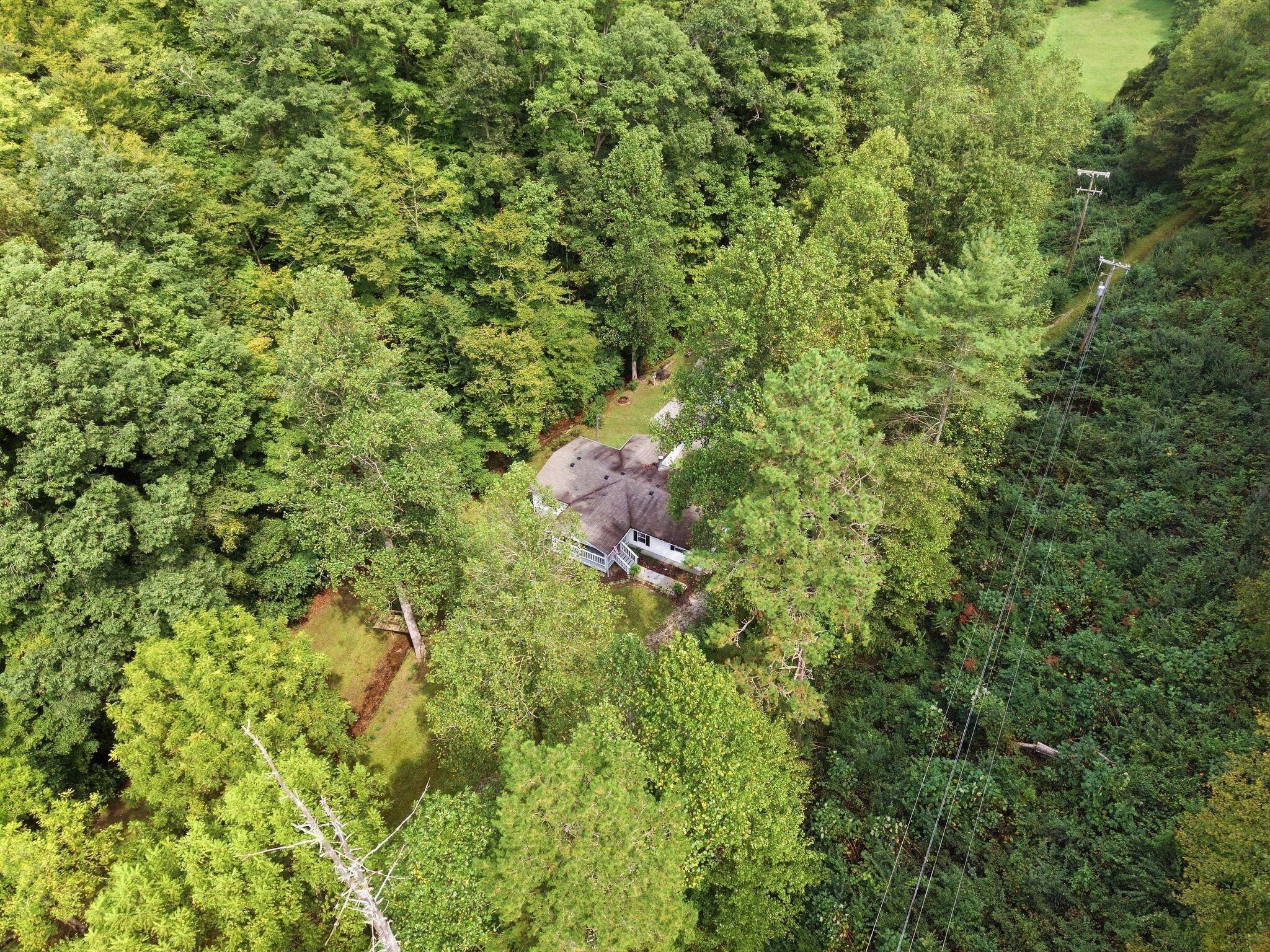 5564 Right Fork Of Maces Creek Road Property Photo 47