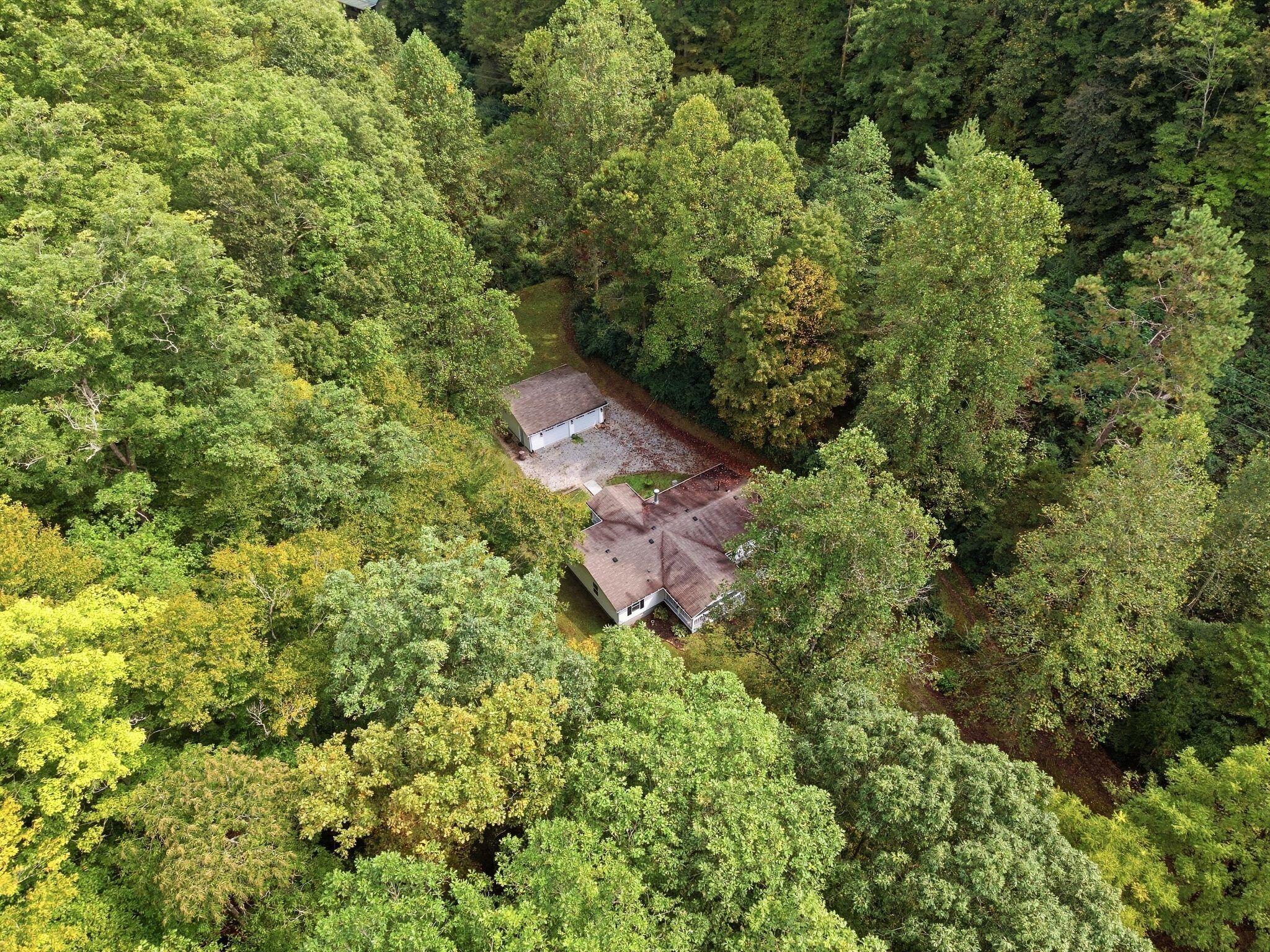 5564 Right Fork Of Maces Creek Road Property Photo 48