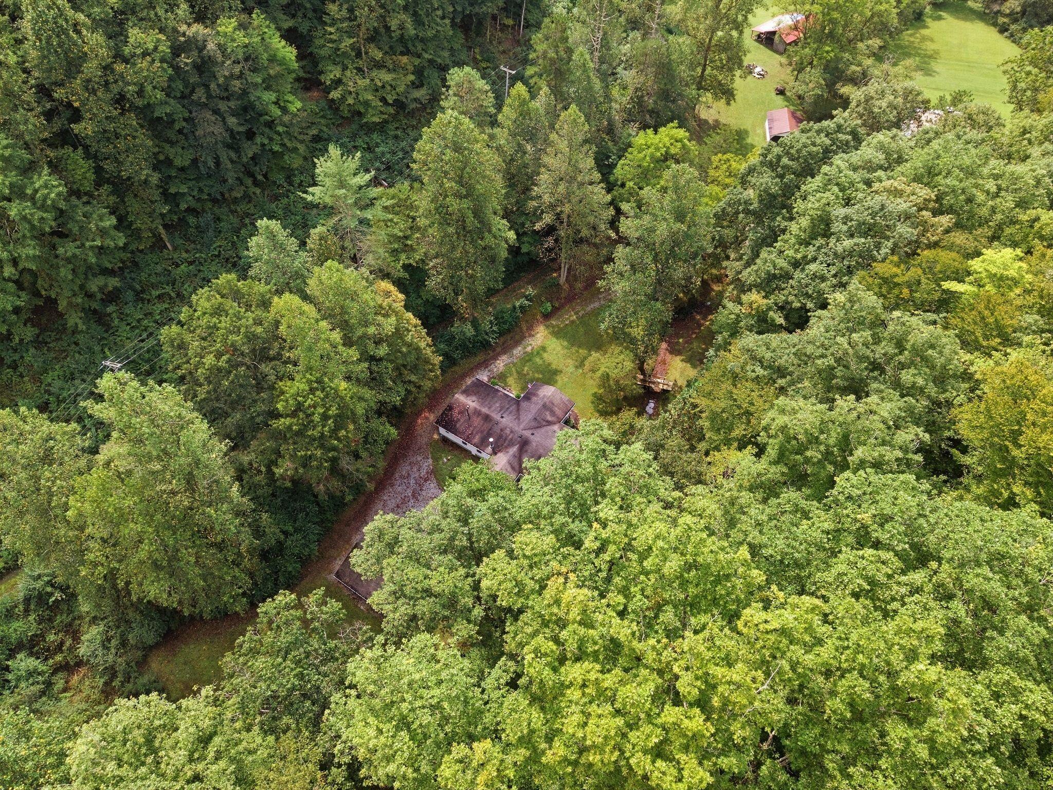 5564 Right Fork Of Maces Creek Road Property Photo 50