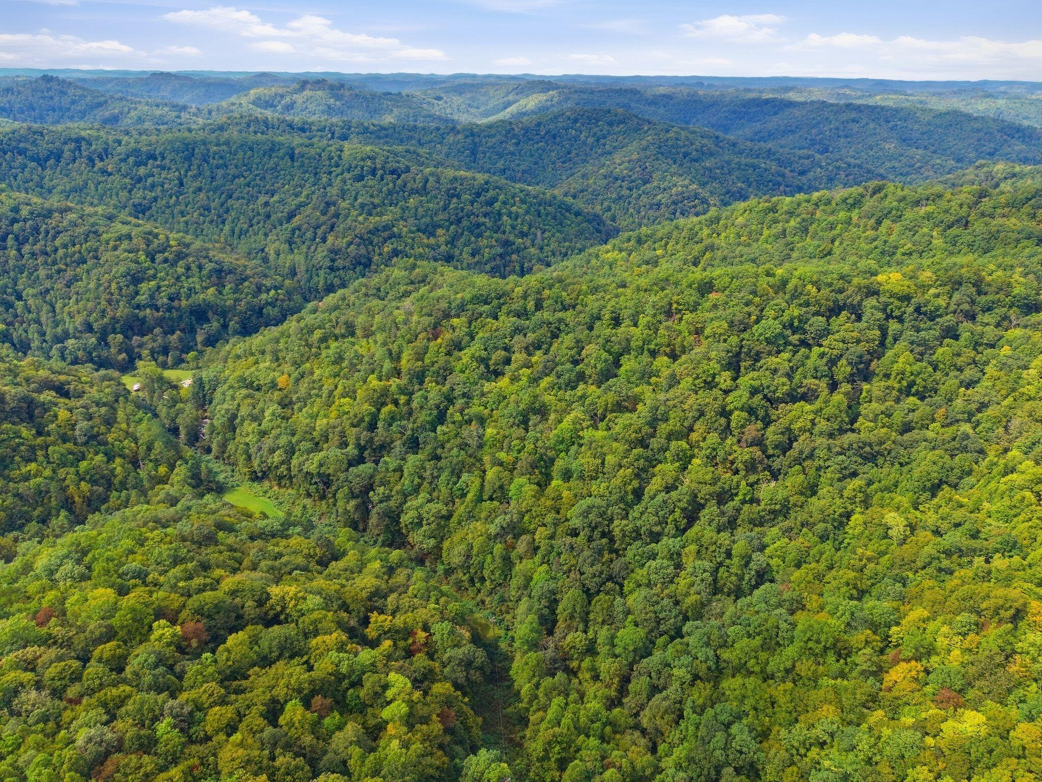 5564 Right Fork Of Maces Creek Road Property Photo 51