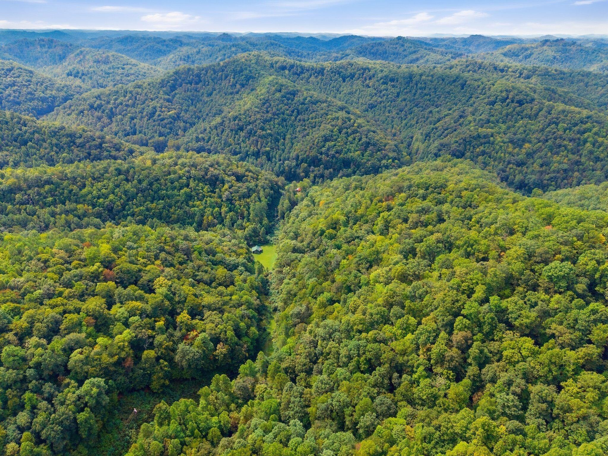 5564 Right Fork Of Maces Creek Road Property Photo 52