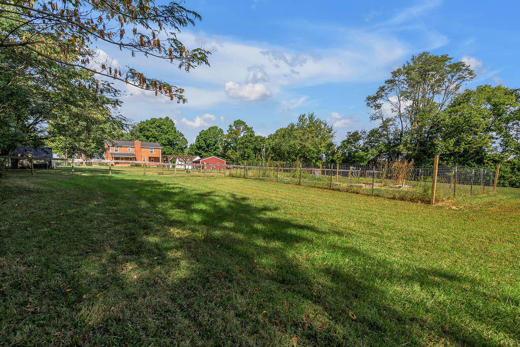 215 Danville Loop 1 Rd Road Property Photo 61