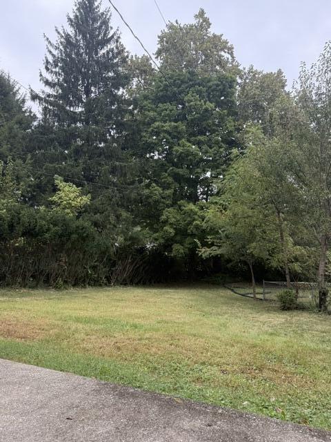 917 Holly Springs Drive Property Photo 34