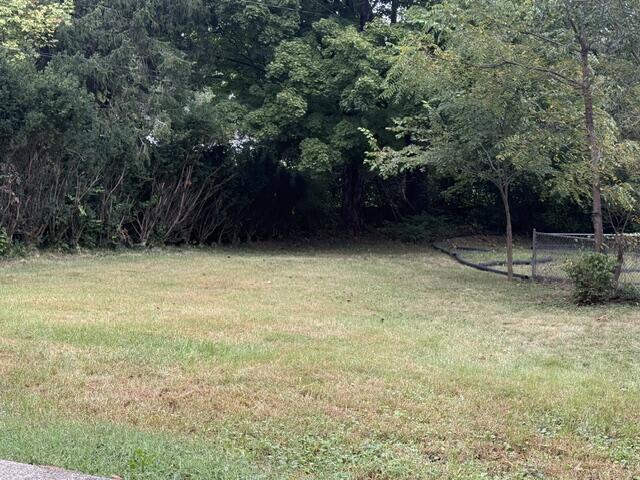 917 Holly Springs Drive Property Photo 35