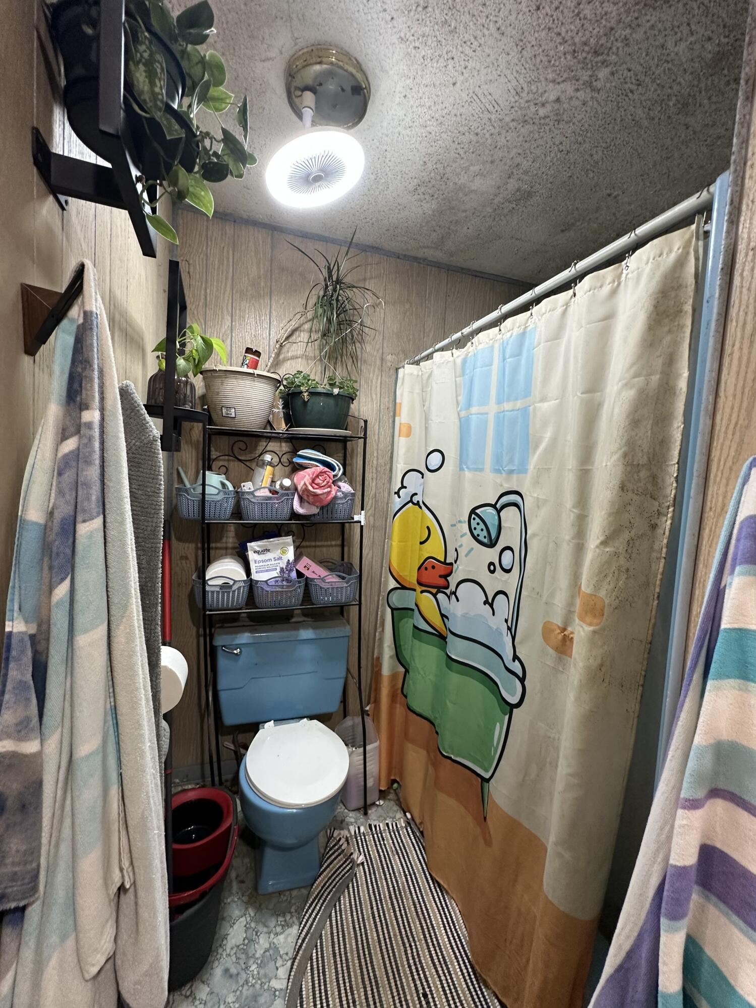 417 Green Street Property Photo 17