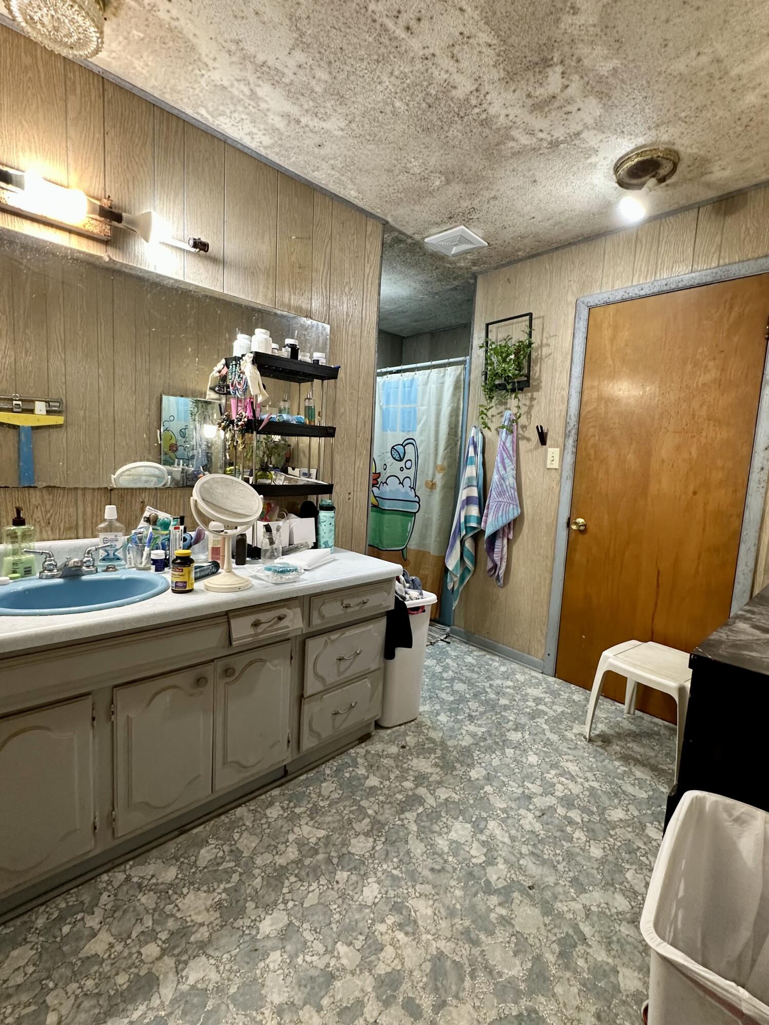 417 Green Street Property Photo 18