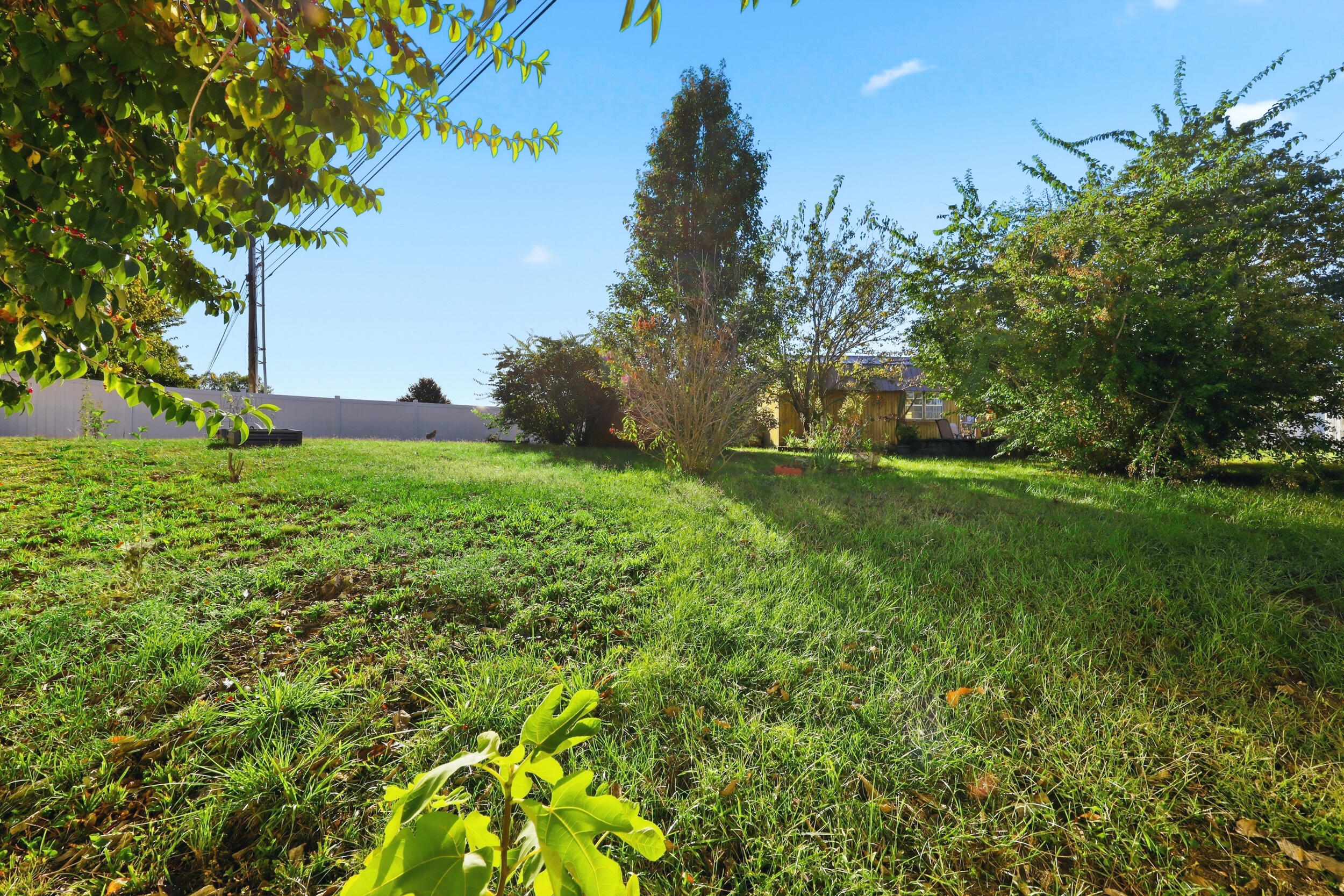 345 Palomino Drive Property Photo 34