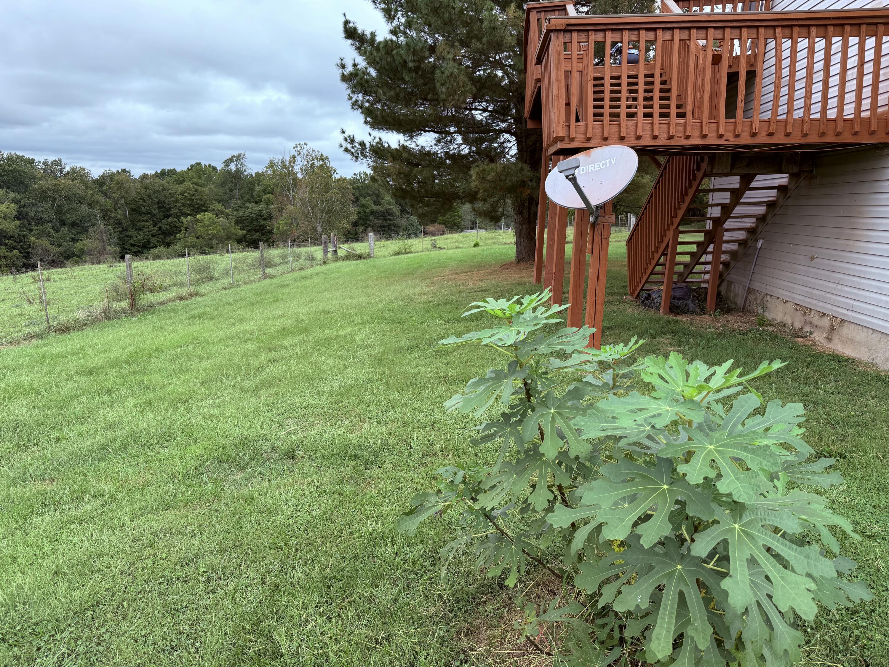 583 Crutcher Pike Property Photo 23
