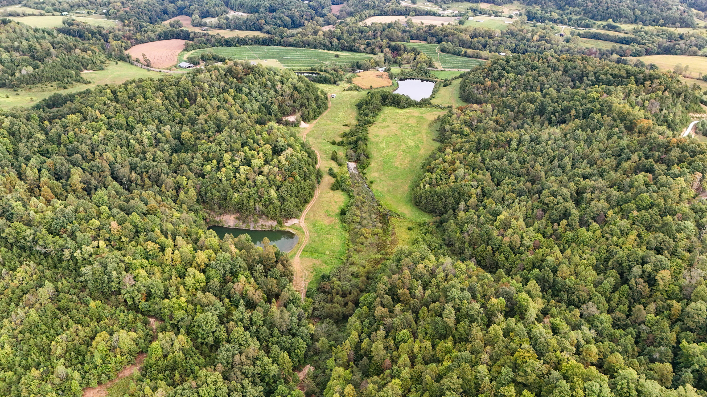 11785 Mcwhorter Road Property Photo 3