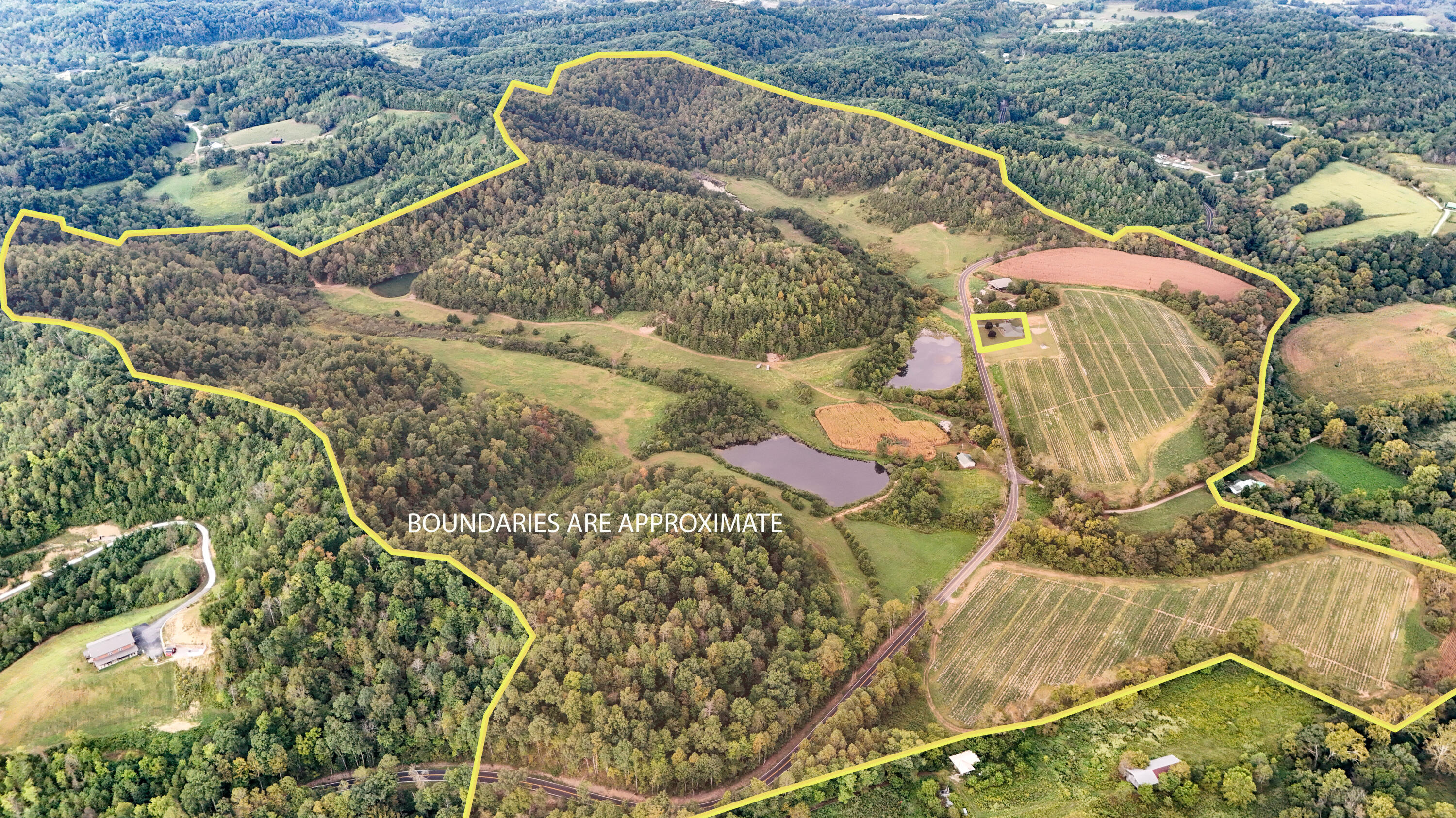 11785 Mcwhorter Road Property Photo 4