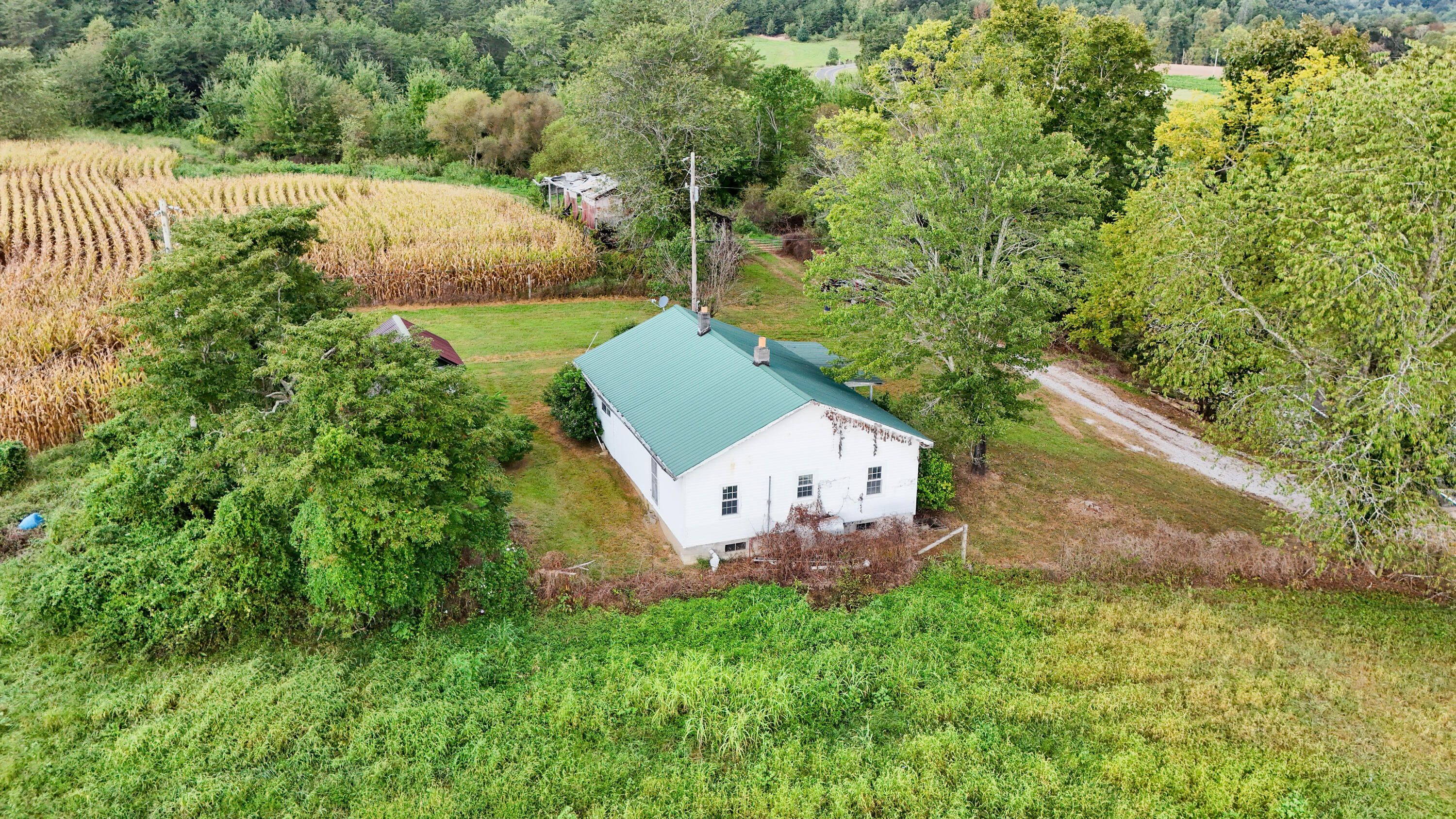 11785 Mcwhorter Road Property Photo 7