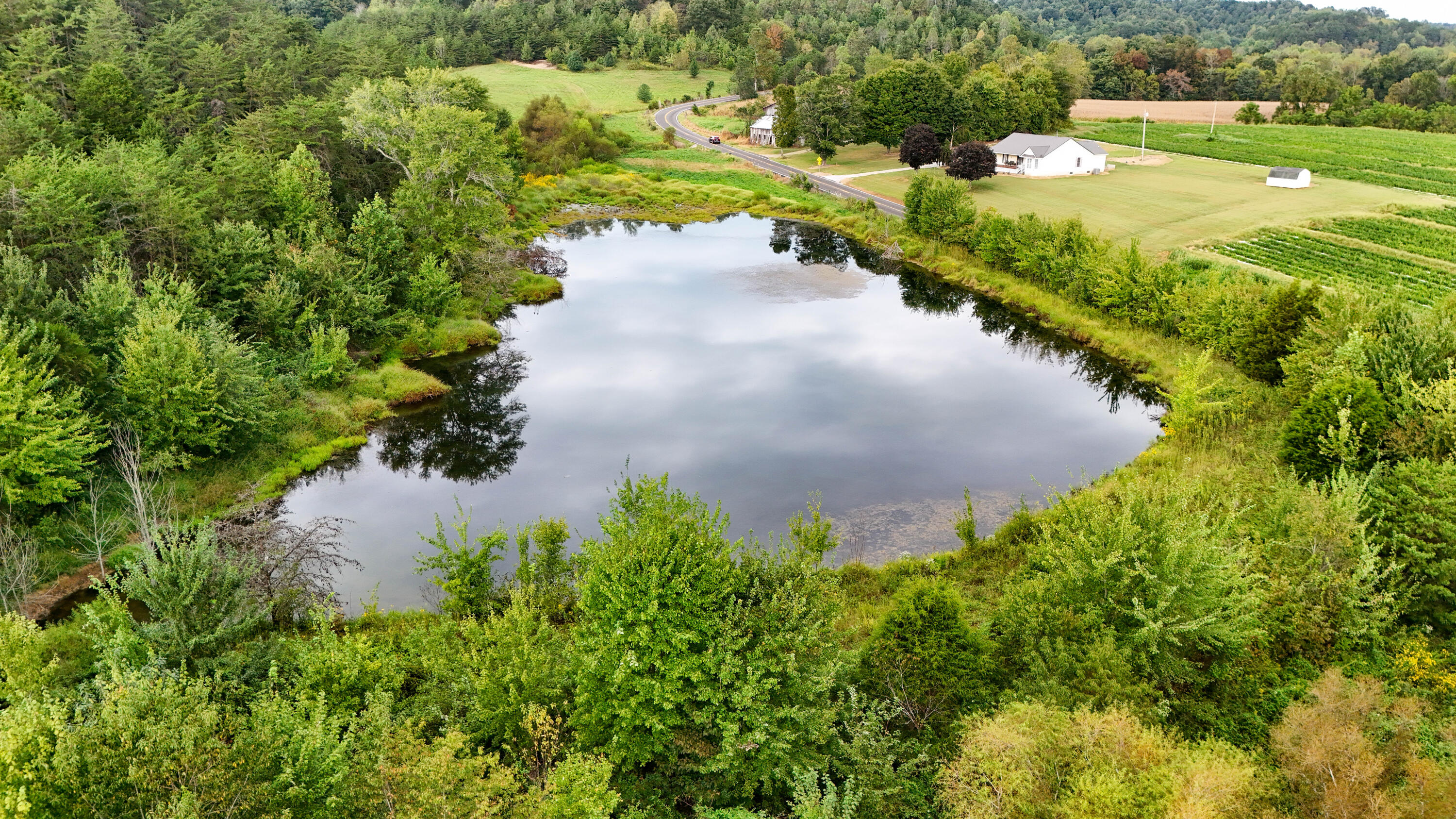 11785 Mcwhorter Road Property Photo 8